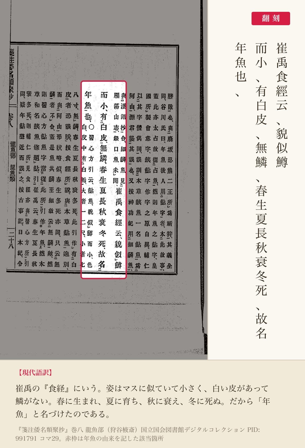 『箋注倭名類聚抄』巻八、年魚の由来を記した箇所と翻刻