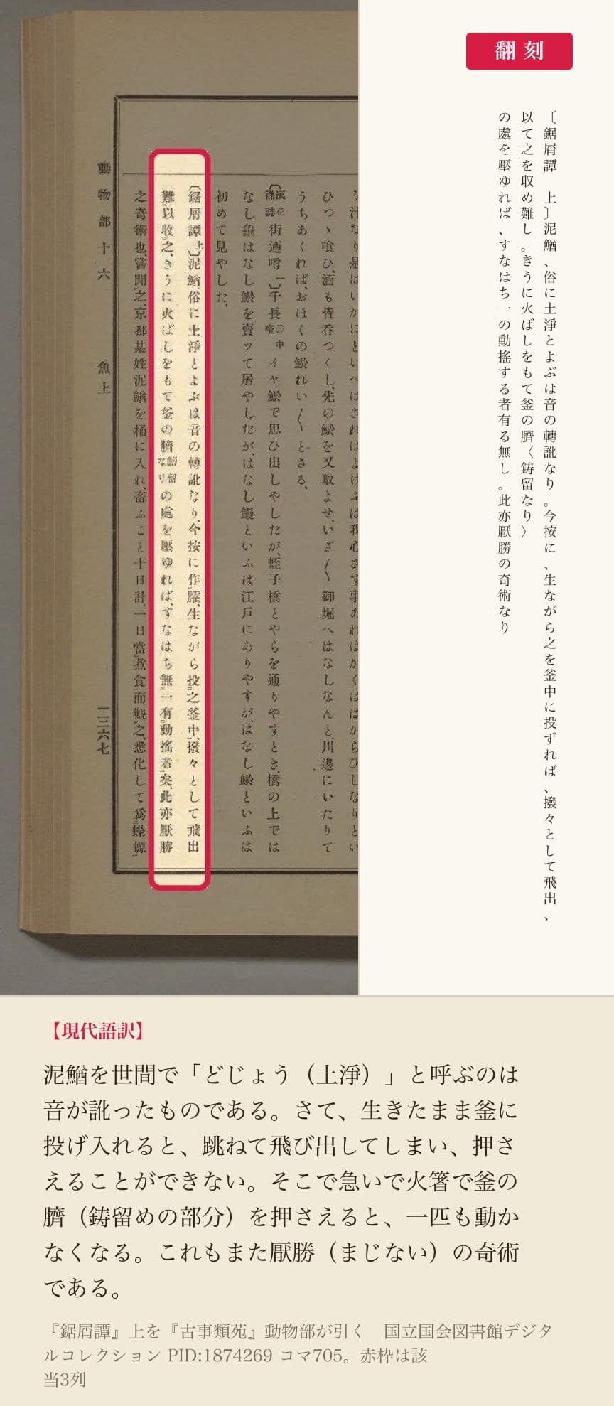 『古事類苑』動物部が引く『鋸屑譚』上の、ドジョウを釜に入れるときの話3列と翻刻