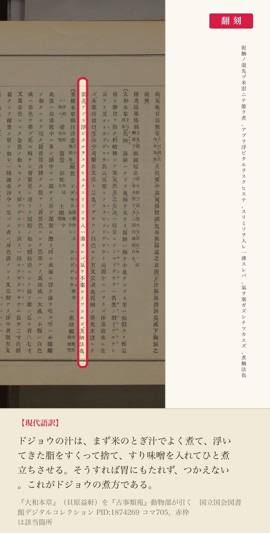 『古事類苑』動物部が引く『大和本草』の、ドジョウの煮方を記した箇所と翻刻