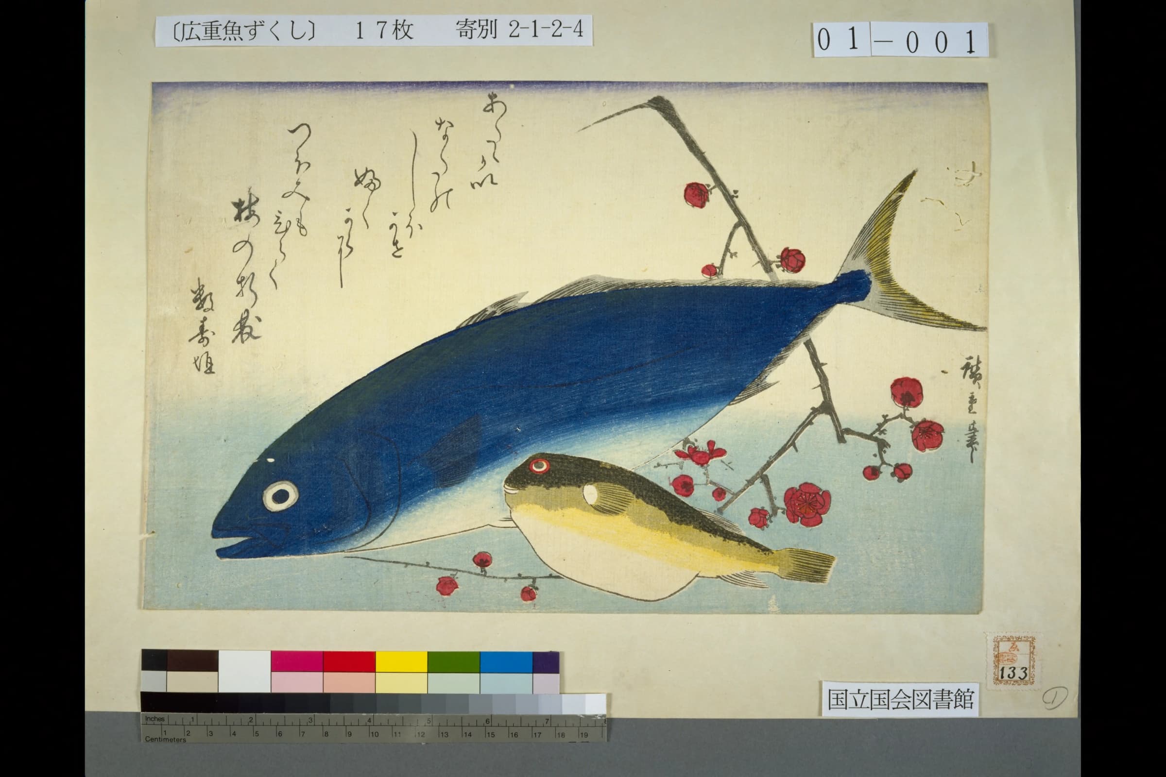 歌川広重の魚づくしシリーズの1枚。手前にフグ、奥に大きな青い魚、背景に紅梅の枝