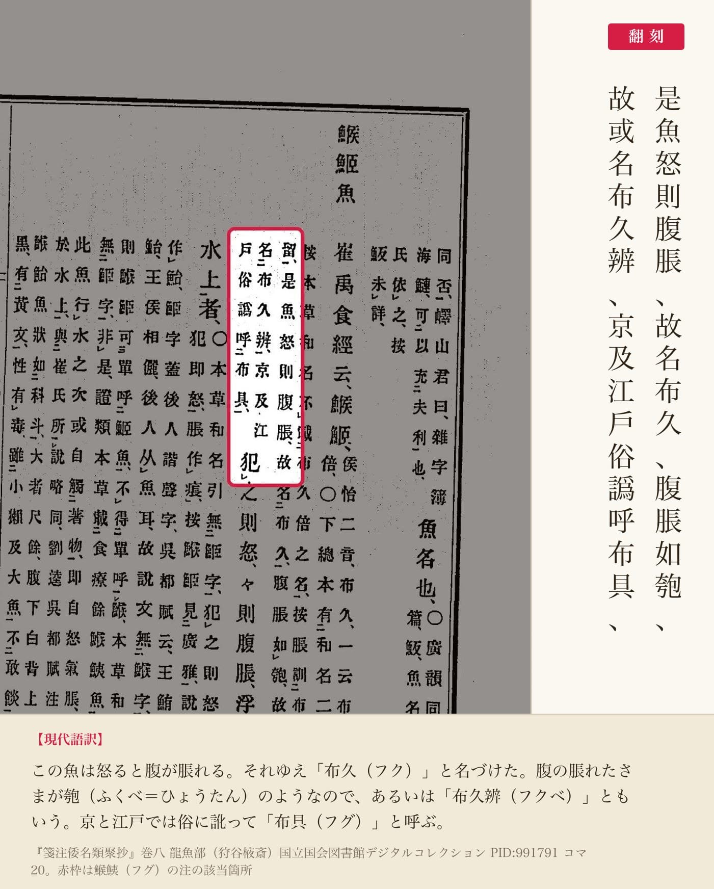 『箋注倭名類聚抄』巻八、鯸鮧(フグ)の注の該当箇所と翻刻