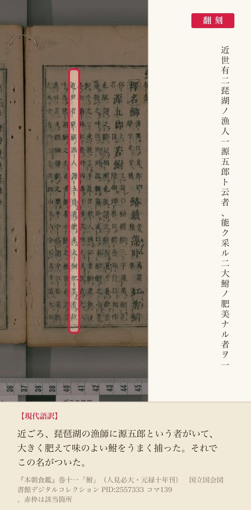 『本朝食鑑』巻十一「鮒」の、源五郎の由来を記した箇所と翻刻