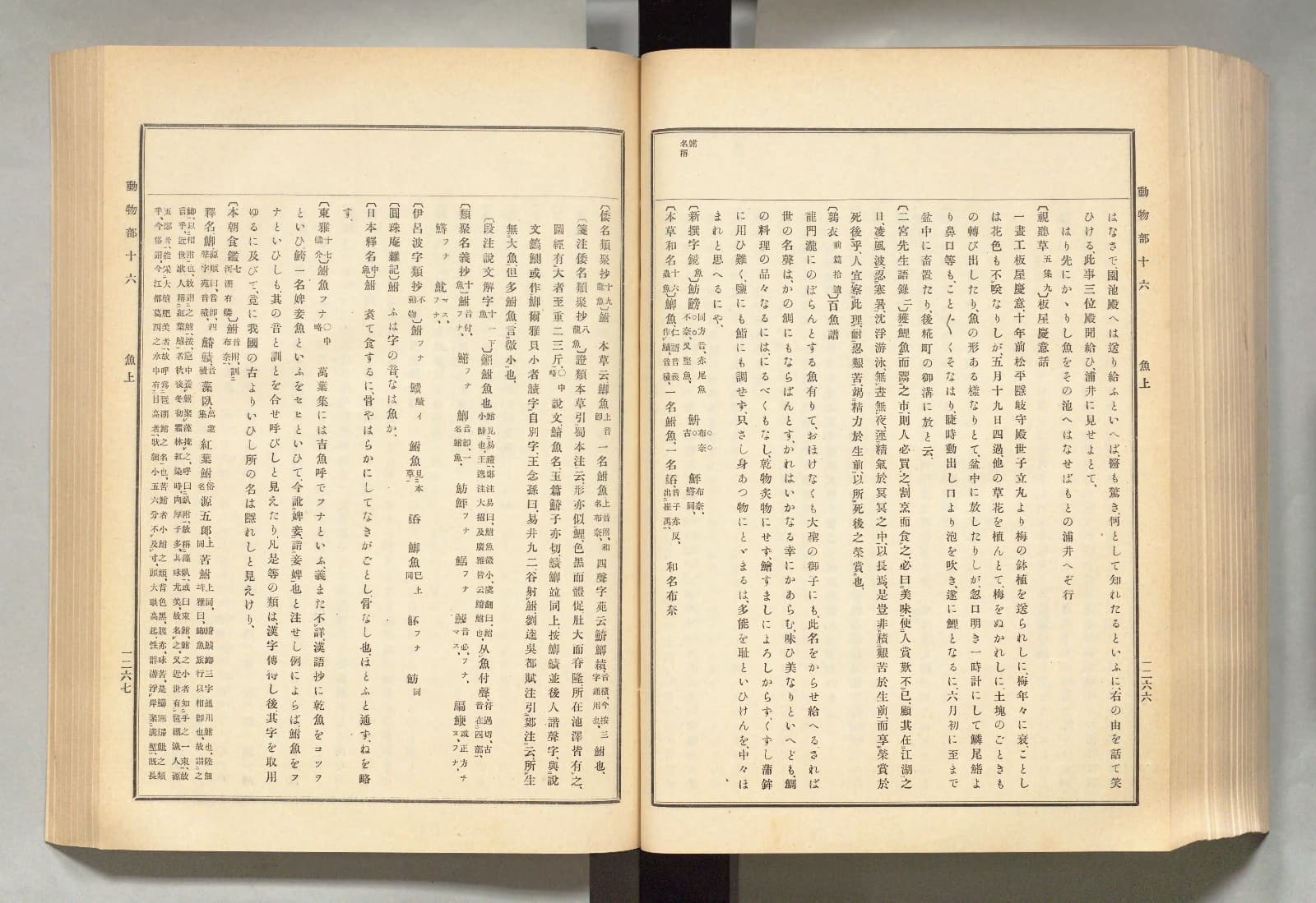 『古事類苑』動物部を開いたところ。右ページ上部の欄外に「鮒 名稱」とある