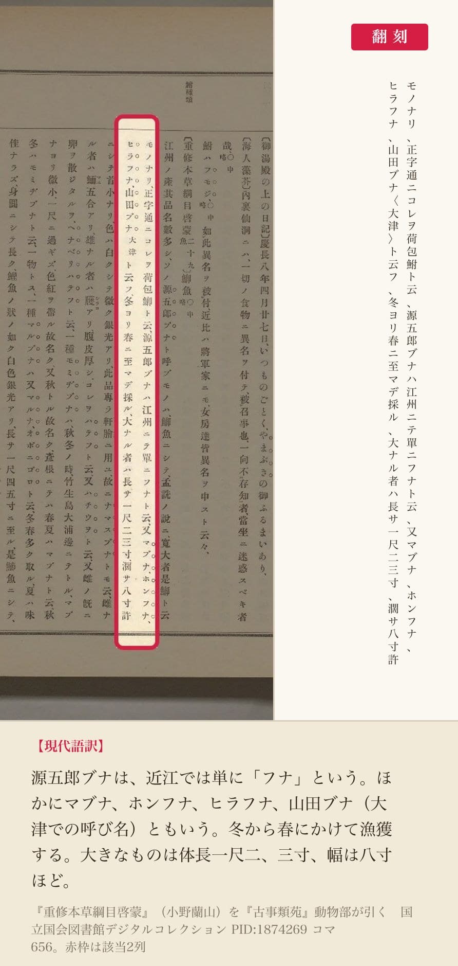 『古事類苑』動物部が引く『本草綱目啓蒙』の、源五郎鮒の別名を並べた2列と翻刻