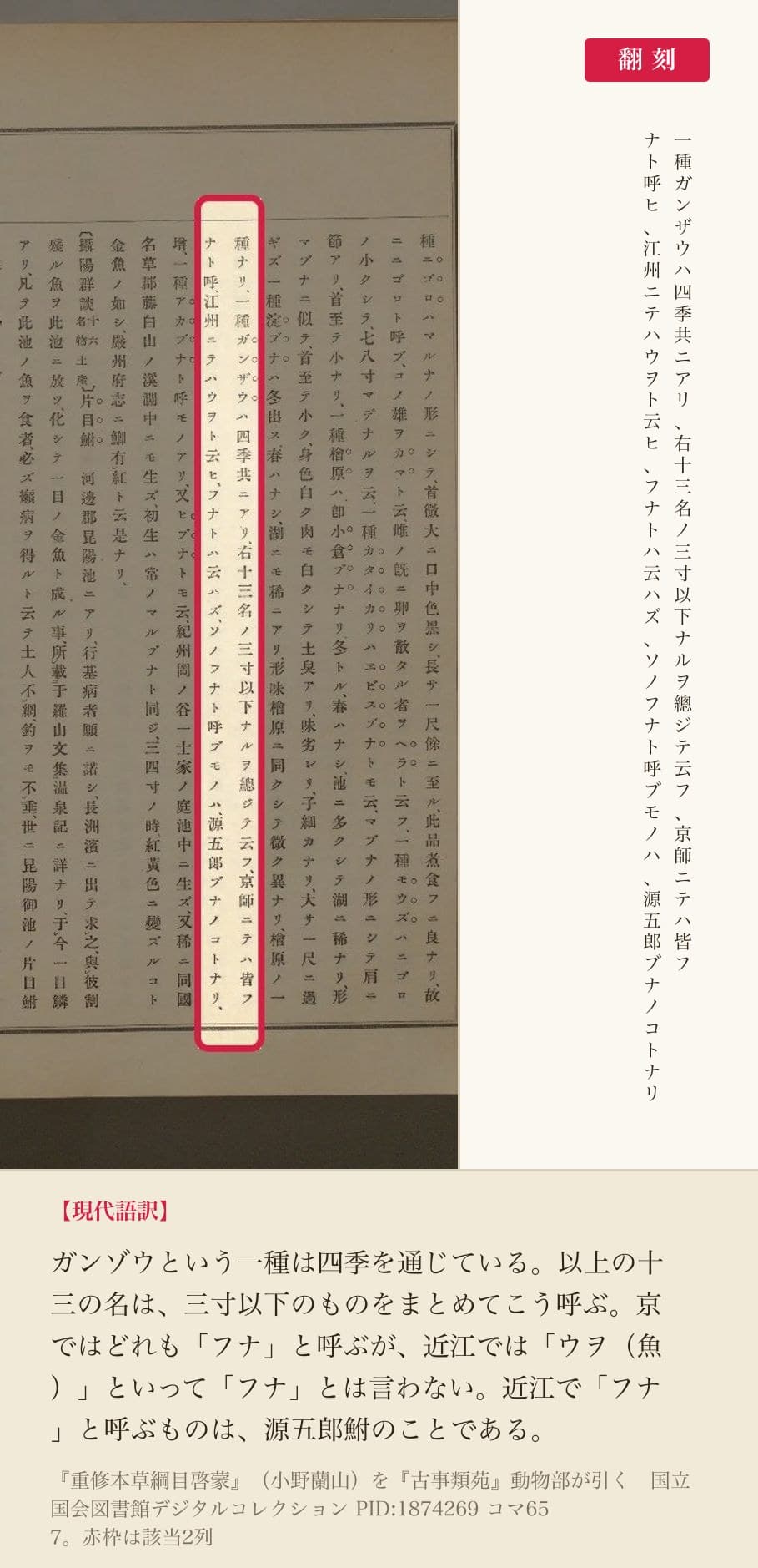 『古事類苑』動物部が引く『本草綱目啓蒙』の、近江でのフナの呼び方を記した2列と翻刻