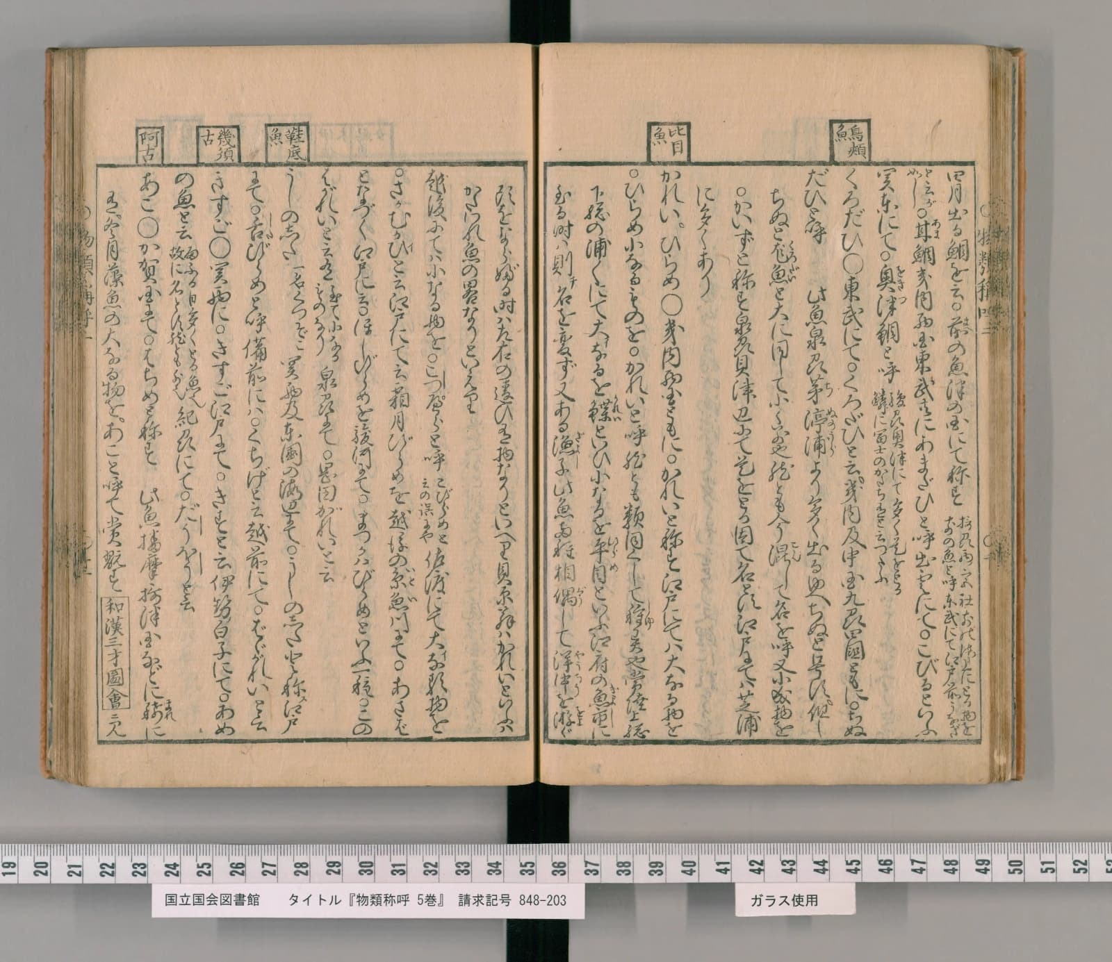 『物類称呼』巻二を開いたところ。右ページ中ほどの頭注の枠に「比目魚」とある