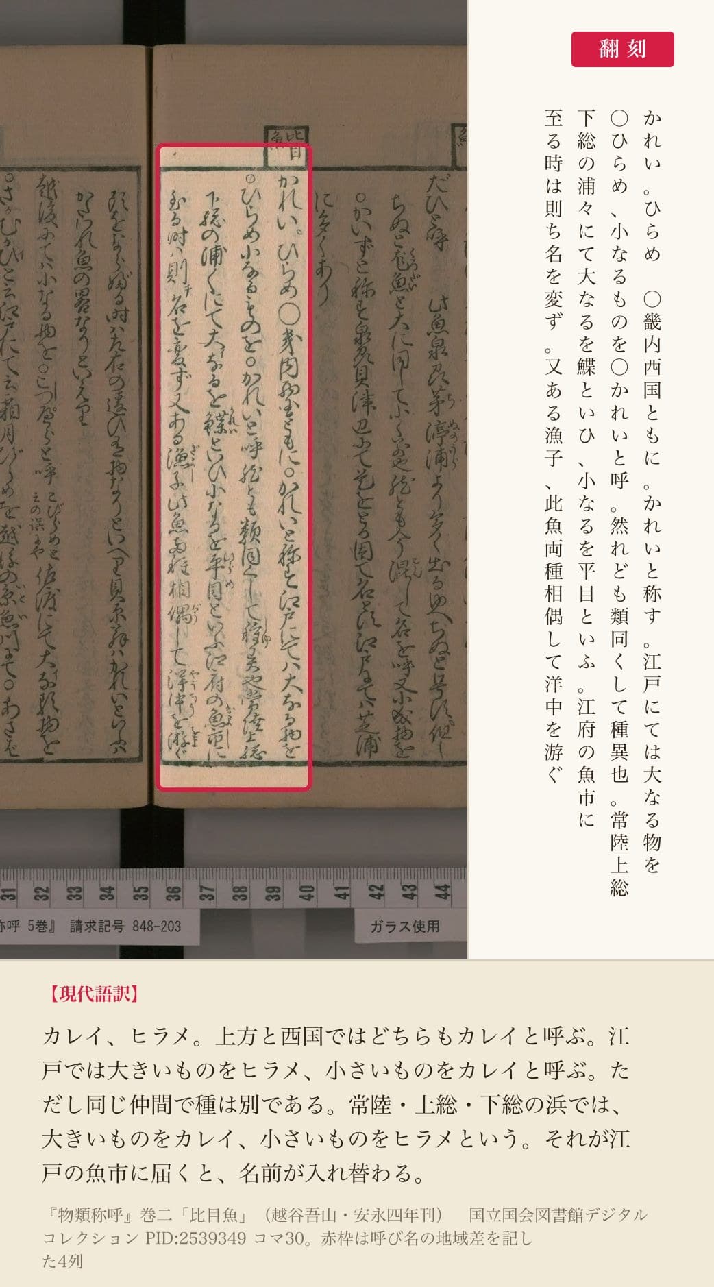 『物類称呼』巻二「比目魚」の、呼び名の地域差を記した4列と翻刻