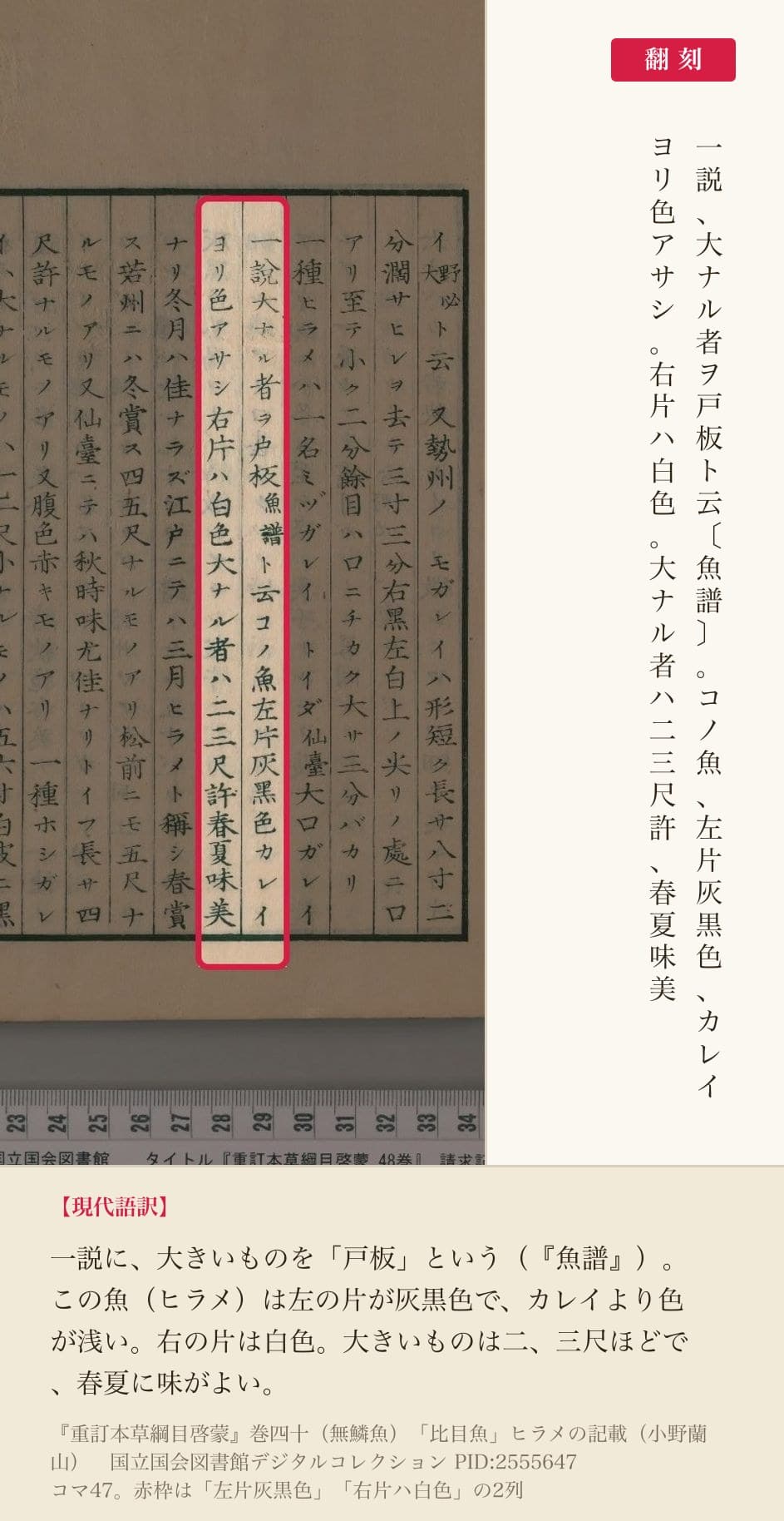 『重訂本草綱目啓蒙』巻四十「比目魚」ヒラメの記載、「左片灰黒色」「右片ハ白色」の2列と翻刻
