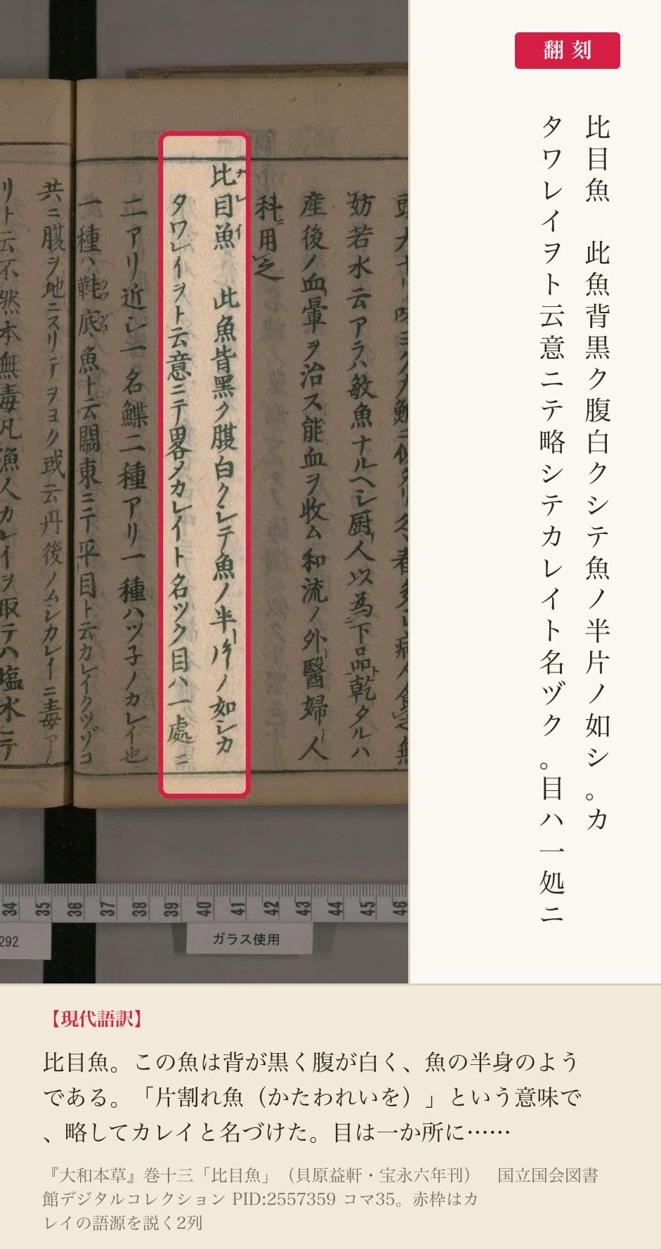『大和本草』巻十三「比目魚」の、カレイの語源を説く2列と翻刻
