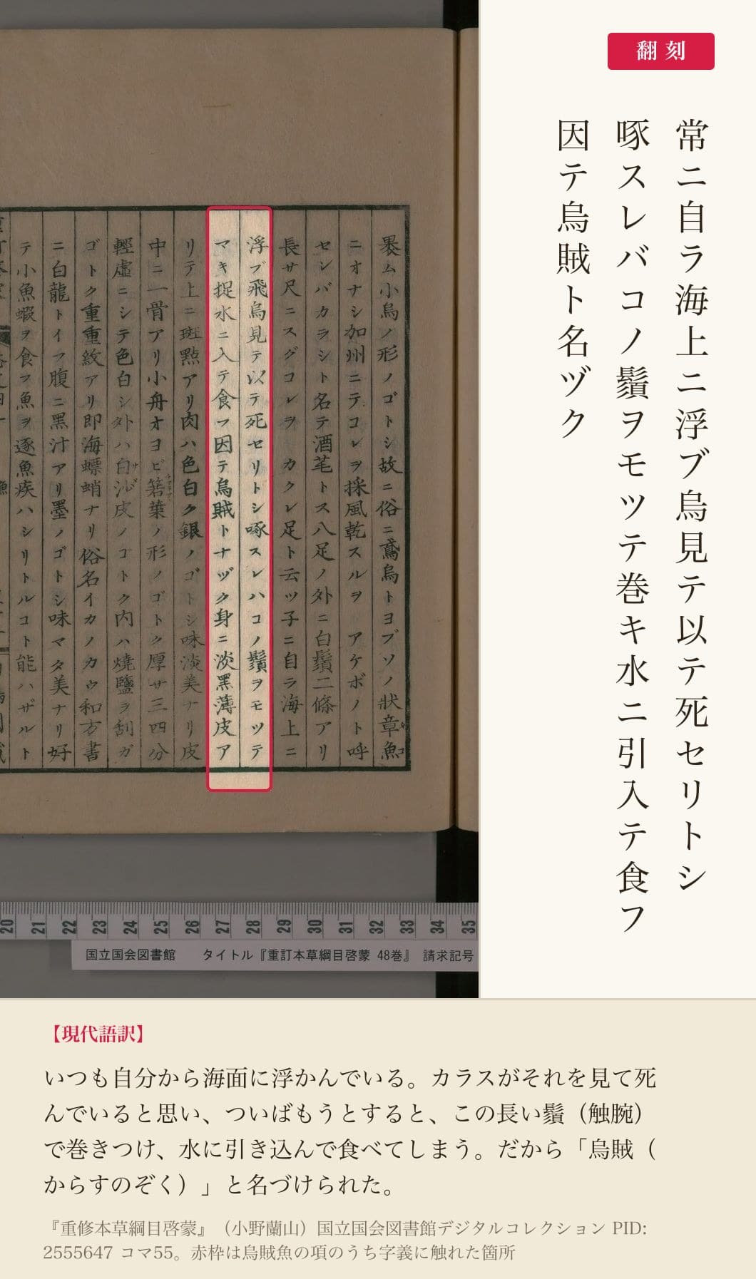『重修本草綱目啓蒙』烏賊魚の項、字義に触れた箇所と翻刻