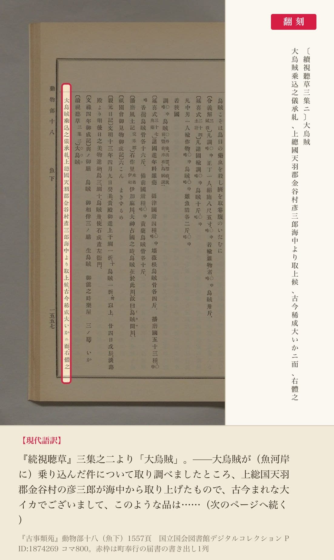 『古事類苑』動物部十八に収められた「大烏賊」の届書の書き出しと翻刻