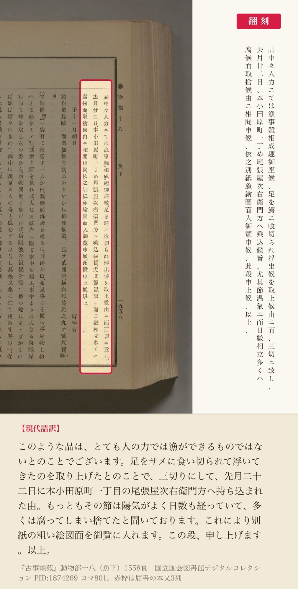 届書の本文と翻刻