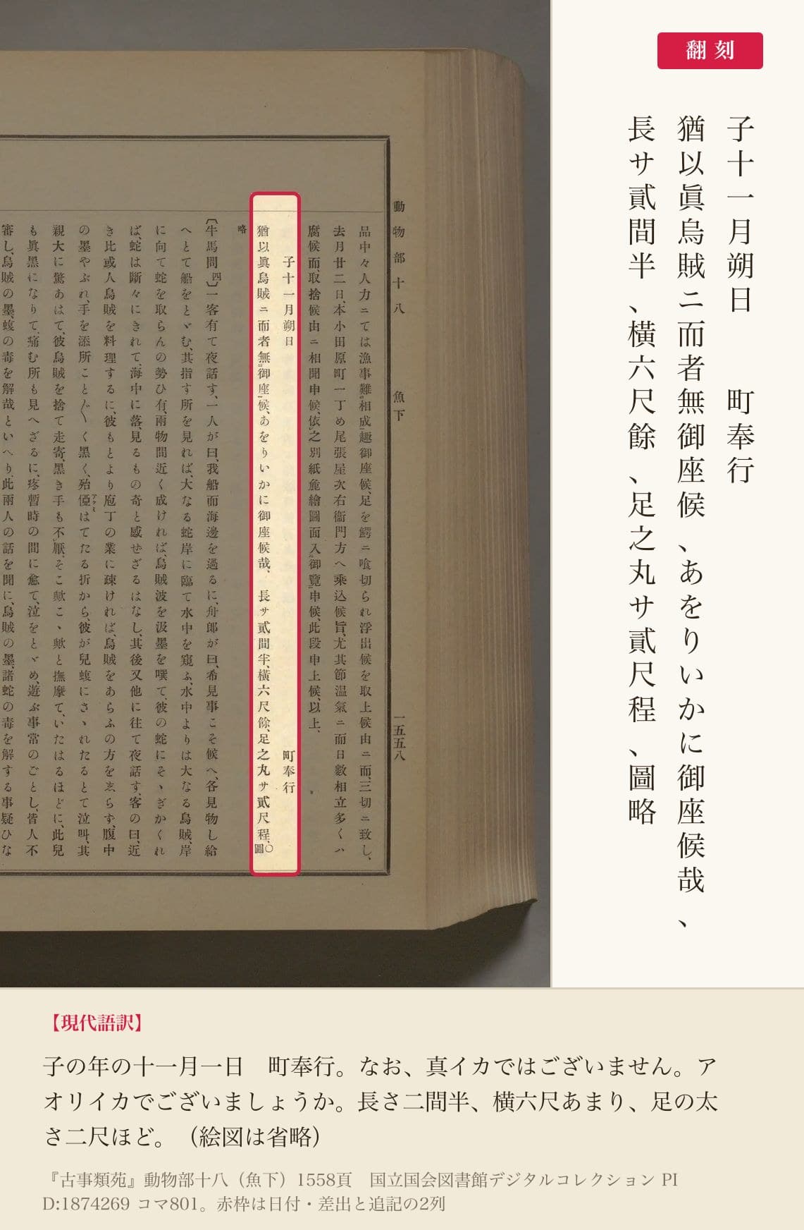 届書の日付・差出と、寸法を書き添えた追記の翻刻