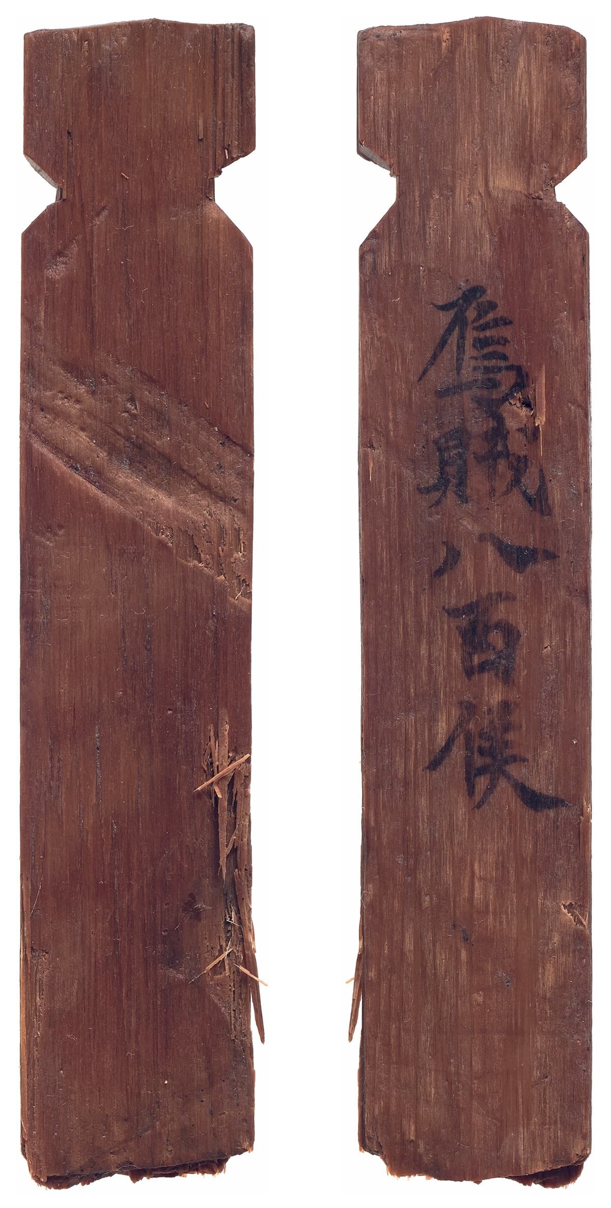 「烏賊八百隻」と書かれた付札木簡(奈良文化財研究所蔵)