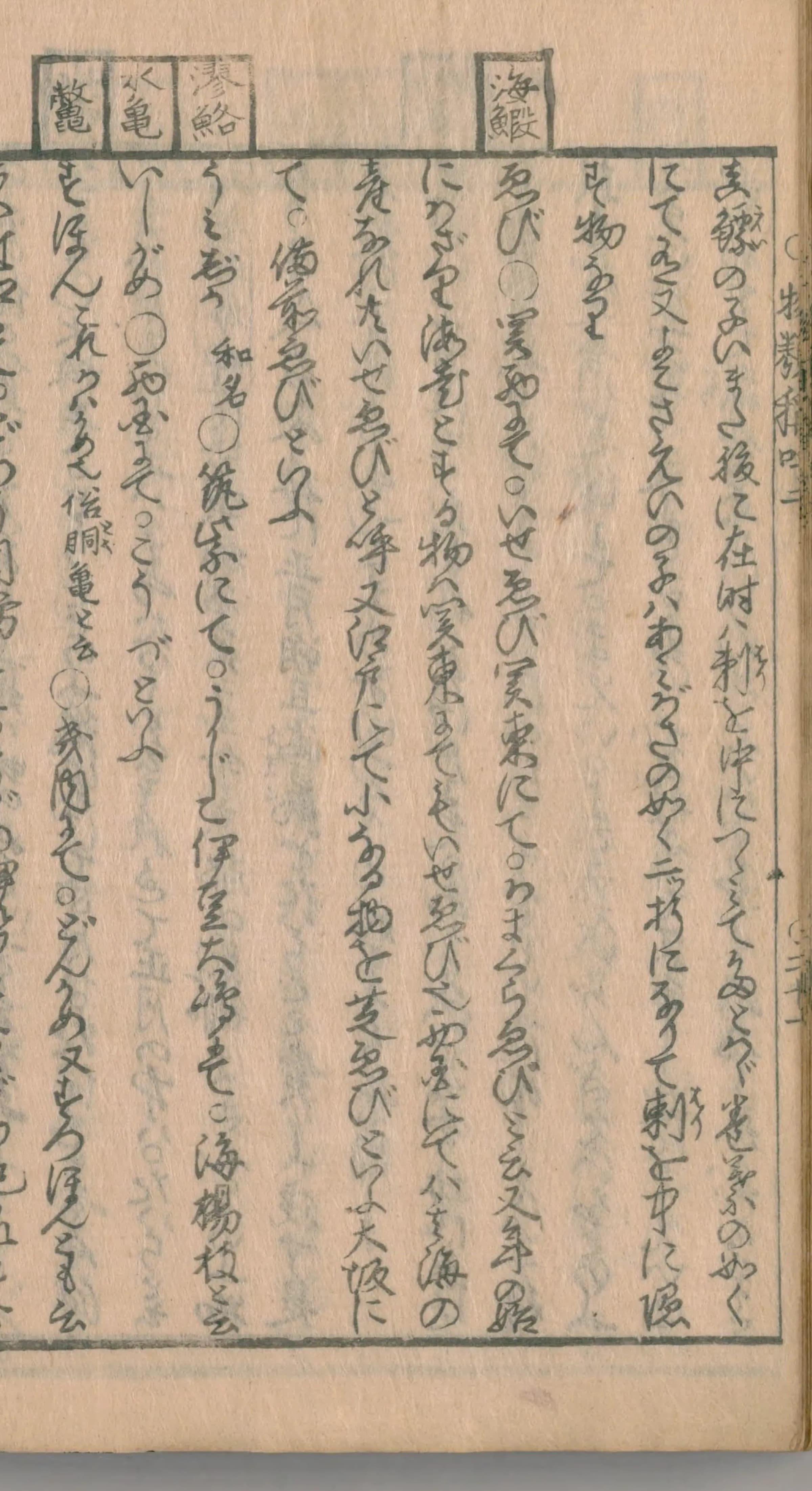 『物類称呼』の頭注に「海鰕」の枠。本文にくずし字で「いせゑび」「かまくらゑび」「芝ゑび」「備前ゑび」が並ぶ
