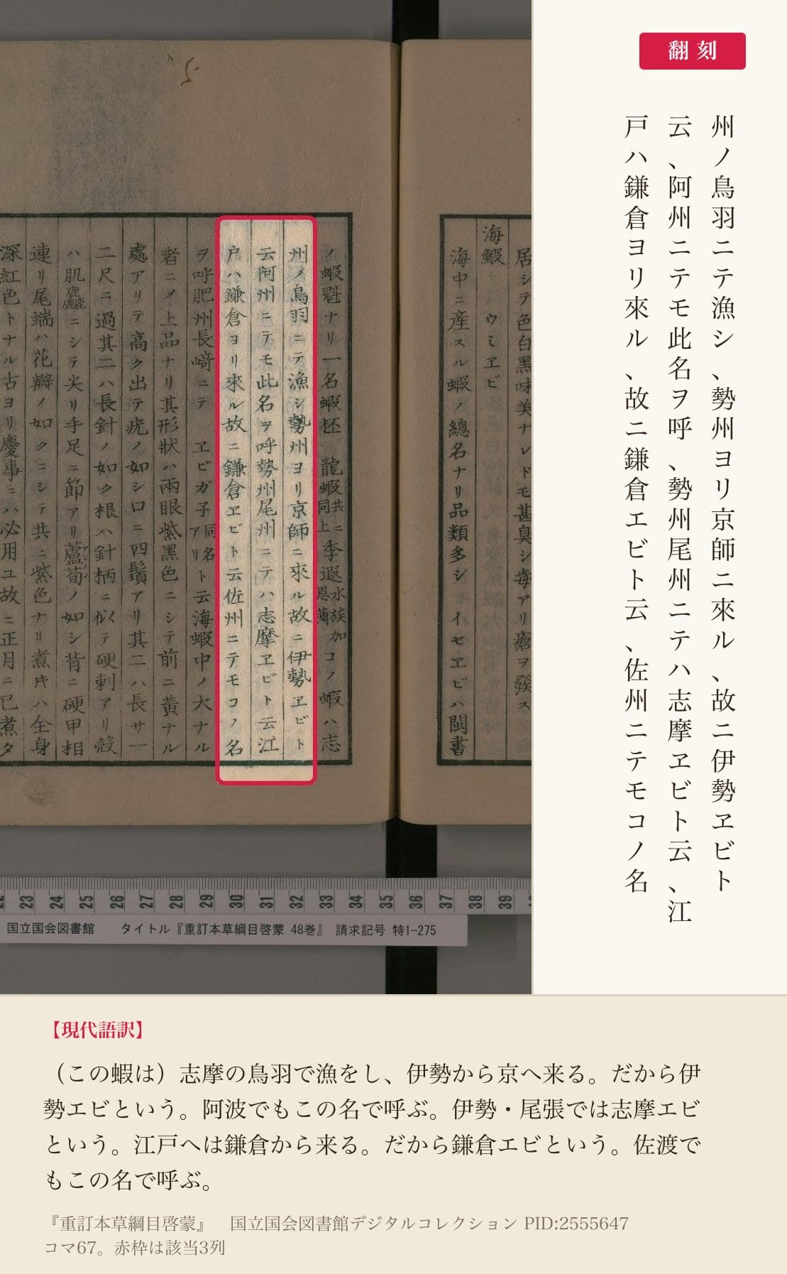『重訂本草綱目啓蒙』「海鰕」の、産地と呼び名を記した3列と翻刻