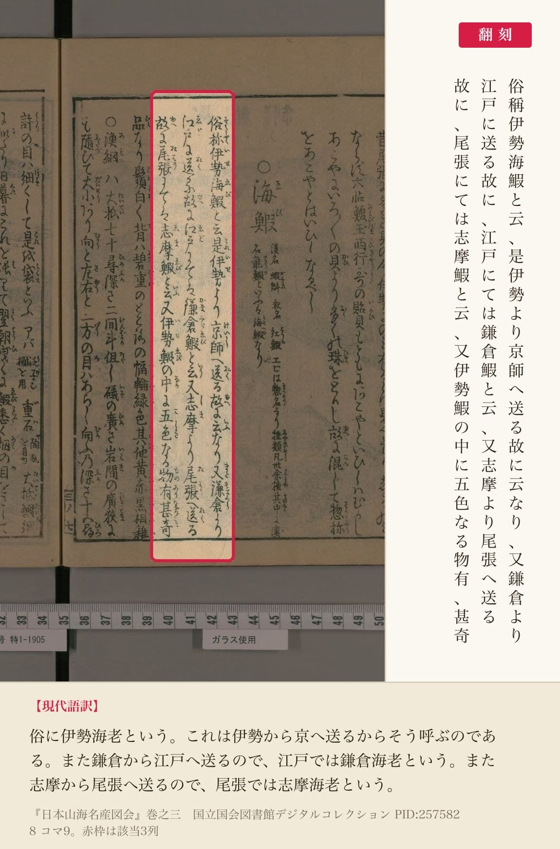 『日本山海名産図会』巻之三「海鰕」の、名前の由来を記した3列と翻刻