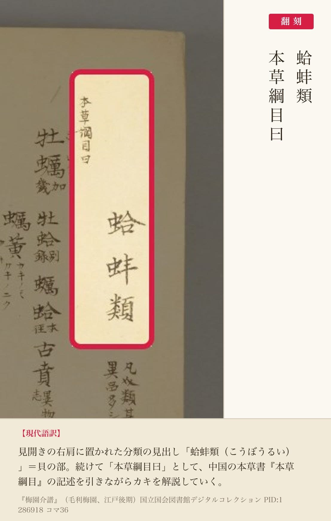 『梅園介譜』カキの図の見出し部分と翻刻(NDL PID 1286918 コマ36)