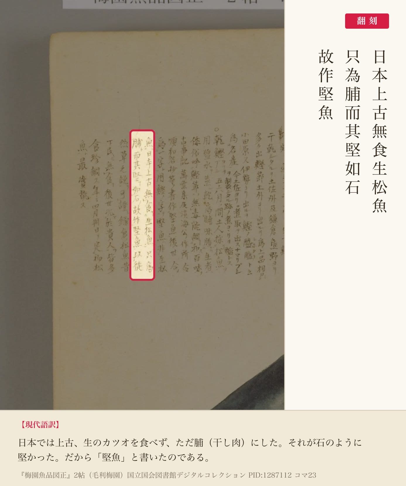 『梅園魚品図正』2帖コマ23、「堅魚」の由来を説明した箇所の赤枠注釈と翻刻