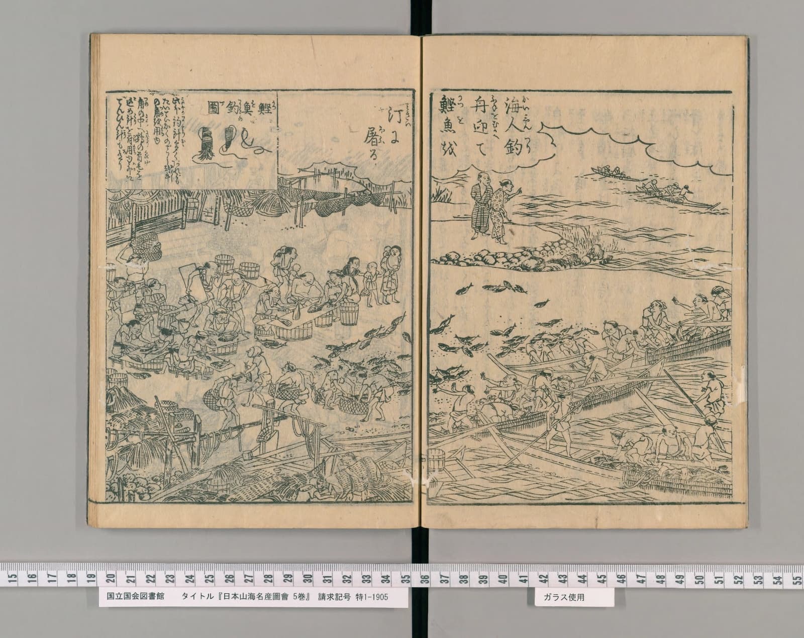 『日本山海名産図会』巻之四、浜での解体・加工の図(NDL PID:2575829 コマ6)