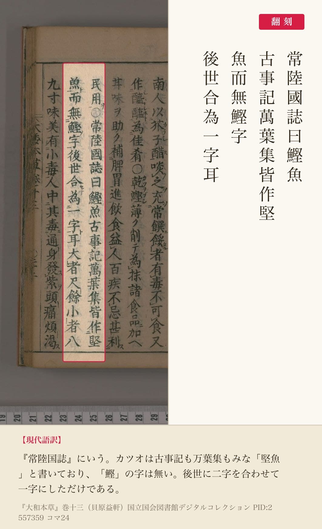 『大和本草』巻十三、カツオの表記に関する記述の赤枠注釈と翻刻