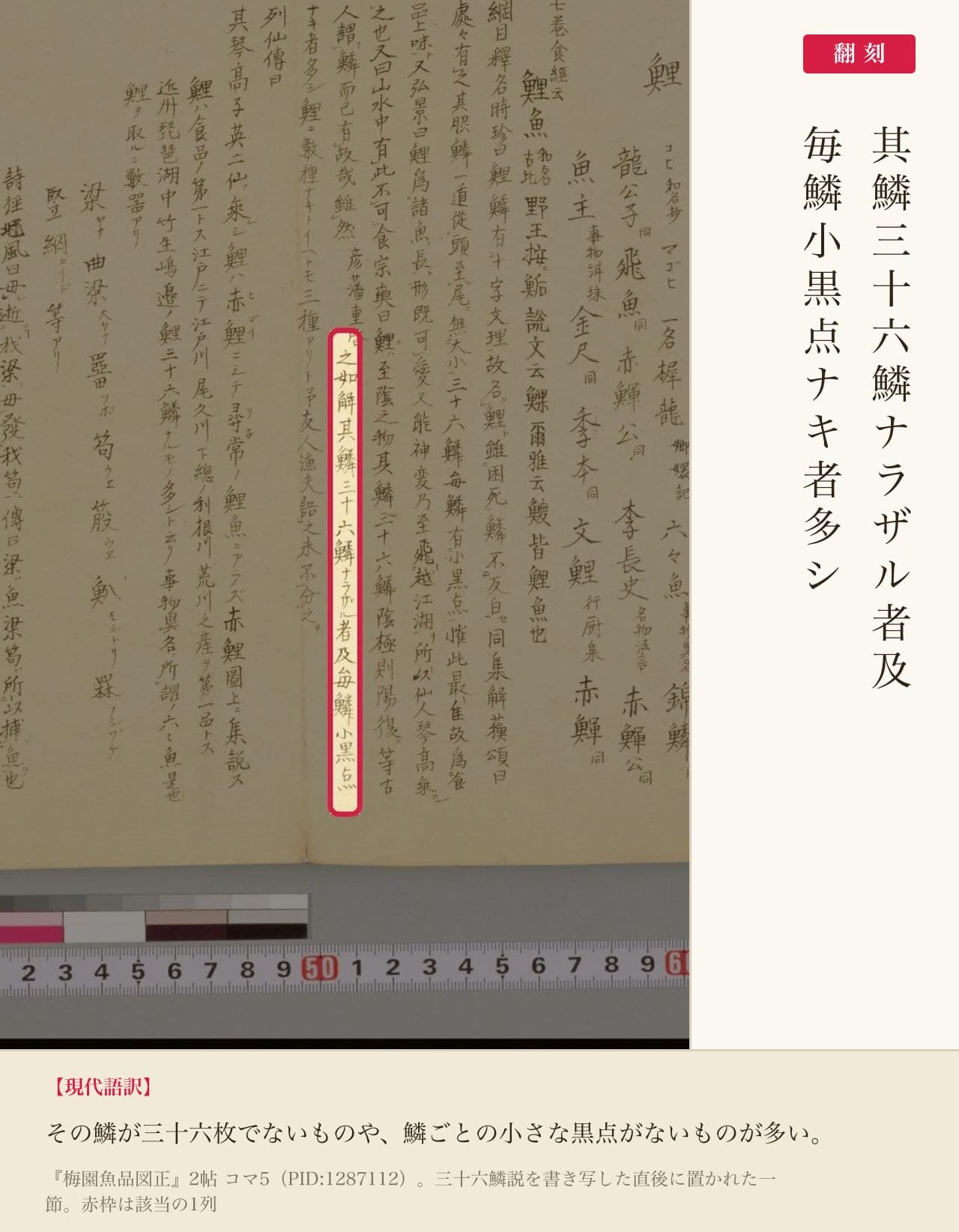 『梅園魚品図正』2帖コマ5、三十六鱗説への反論部分の赤枠注釈と翻刻