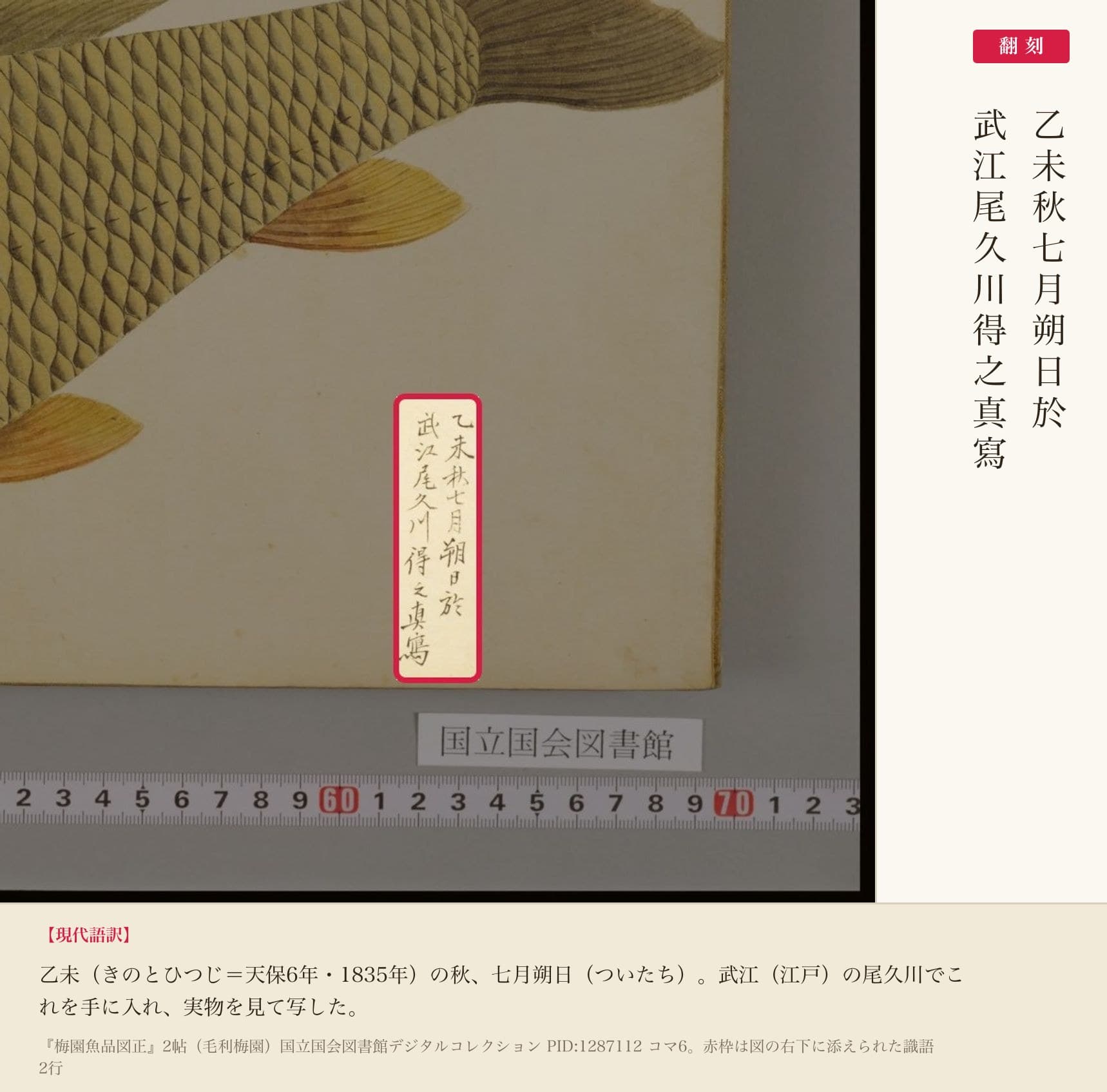 図の右下に添えられた識語「乙未秋七月朔日於武江尾久川得之真寫」の赤枠注釈と翻刻