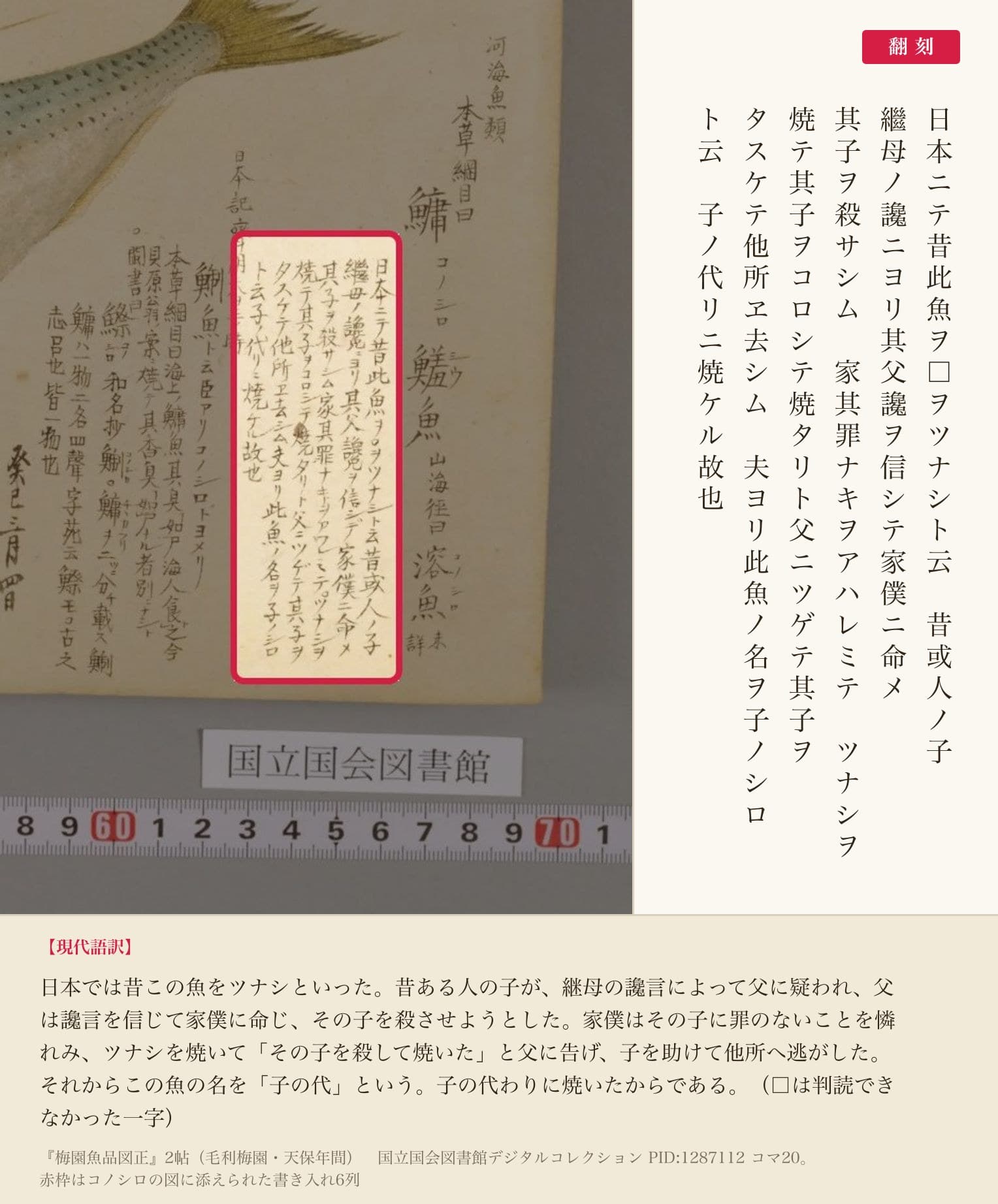 『梅園魚品図正』のコノシロの図に添えられた書き入れ6列と翻刻