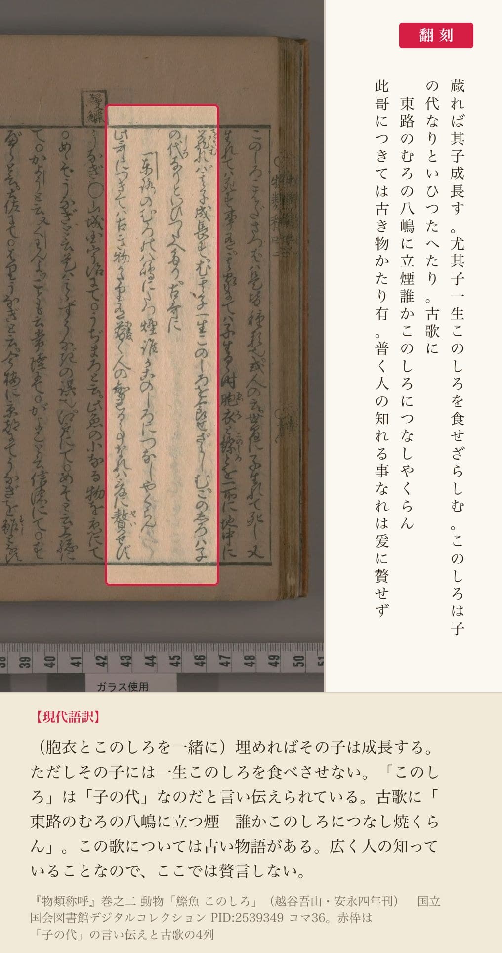 『物類称呼』巻之二 動物「鰶魚 このしろ」の、「子の代」の言い伝えと古歌の4列と翻刻