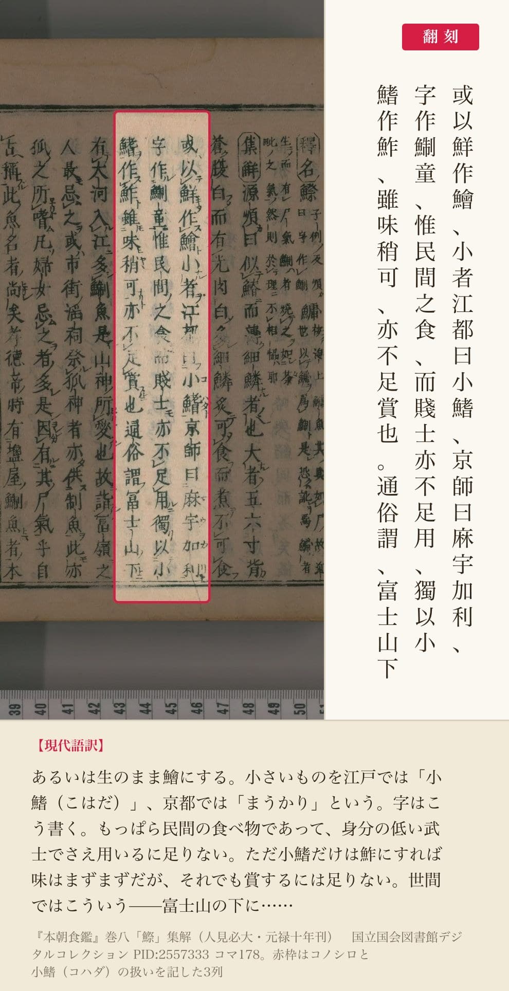 『本朝食鑑』巻八「鰶」集解の、コノシロと小鰭(コハダ)の扱いを記した3列と翻刻