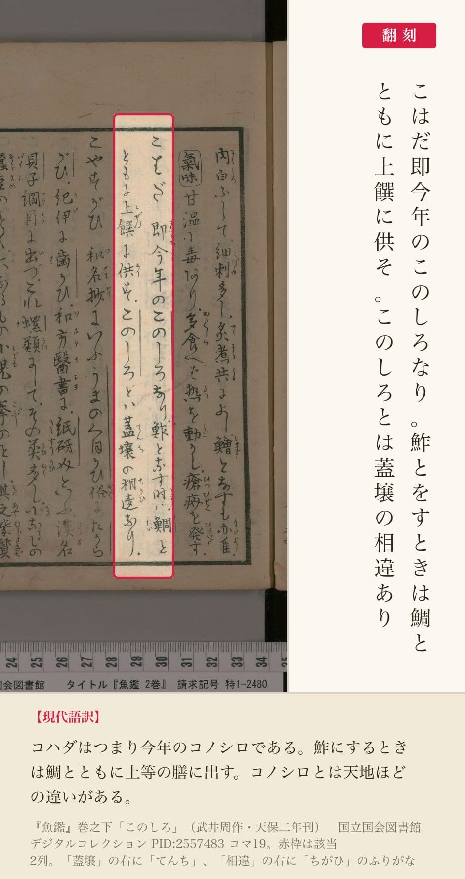 『魚鑑』巻之下「このしろ」の、コハダについて記した2列と翻刻