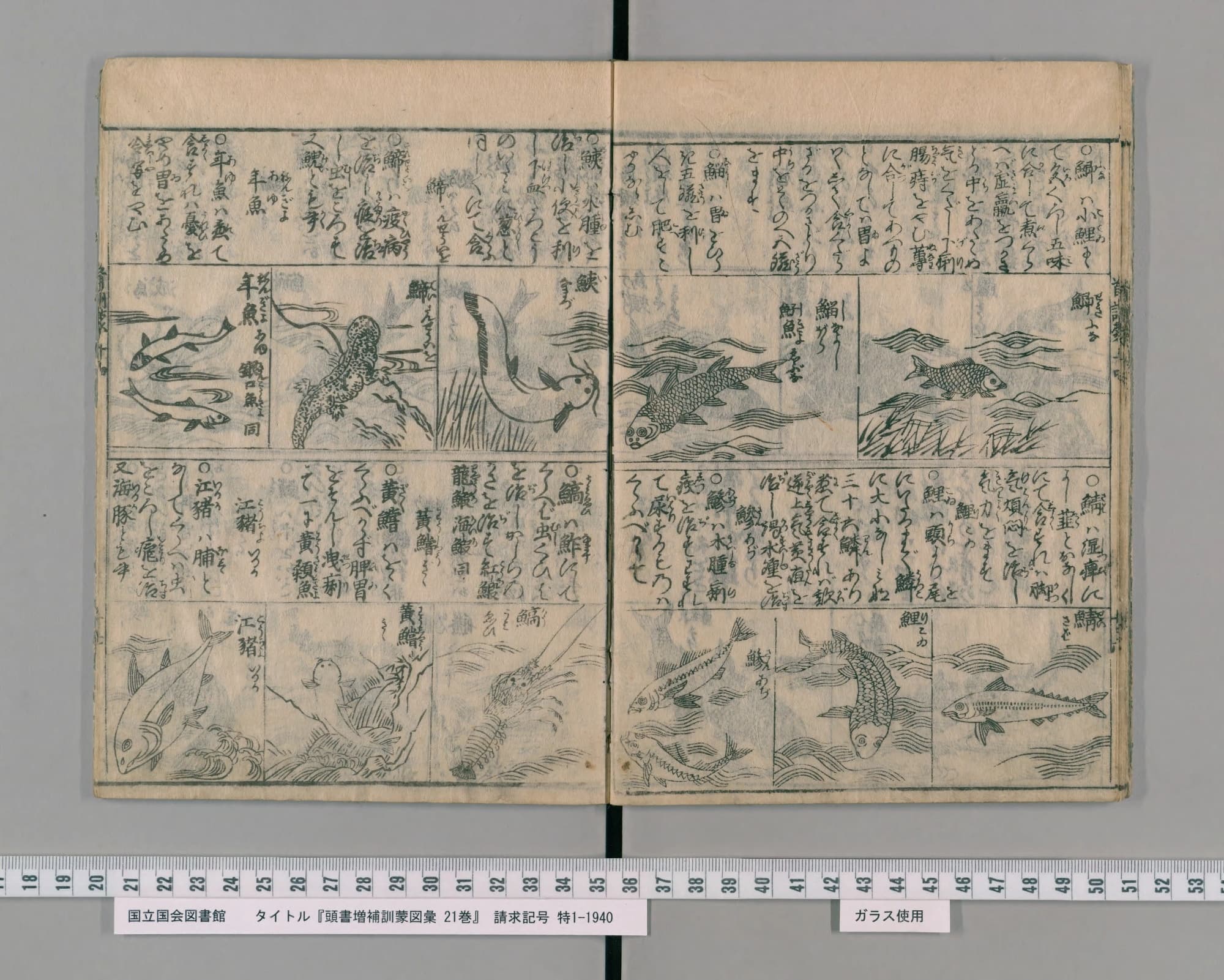 『頭書増補訓蒙図彙』水族の部 コマ18 見開き全体(PID 2557103)