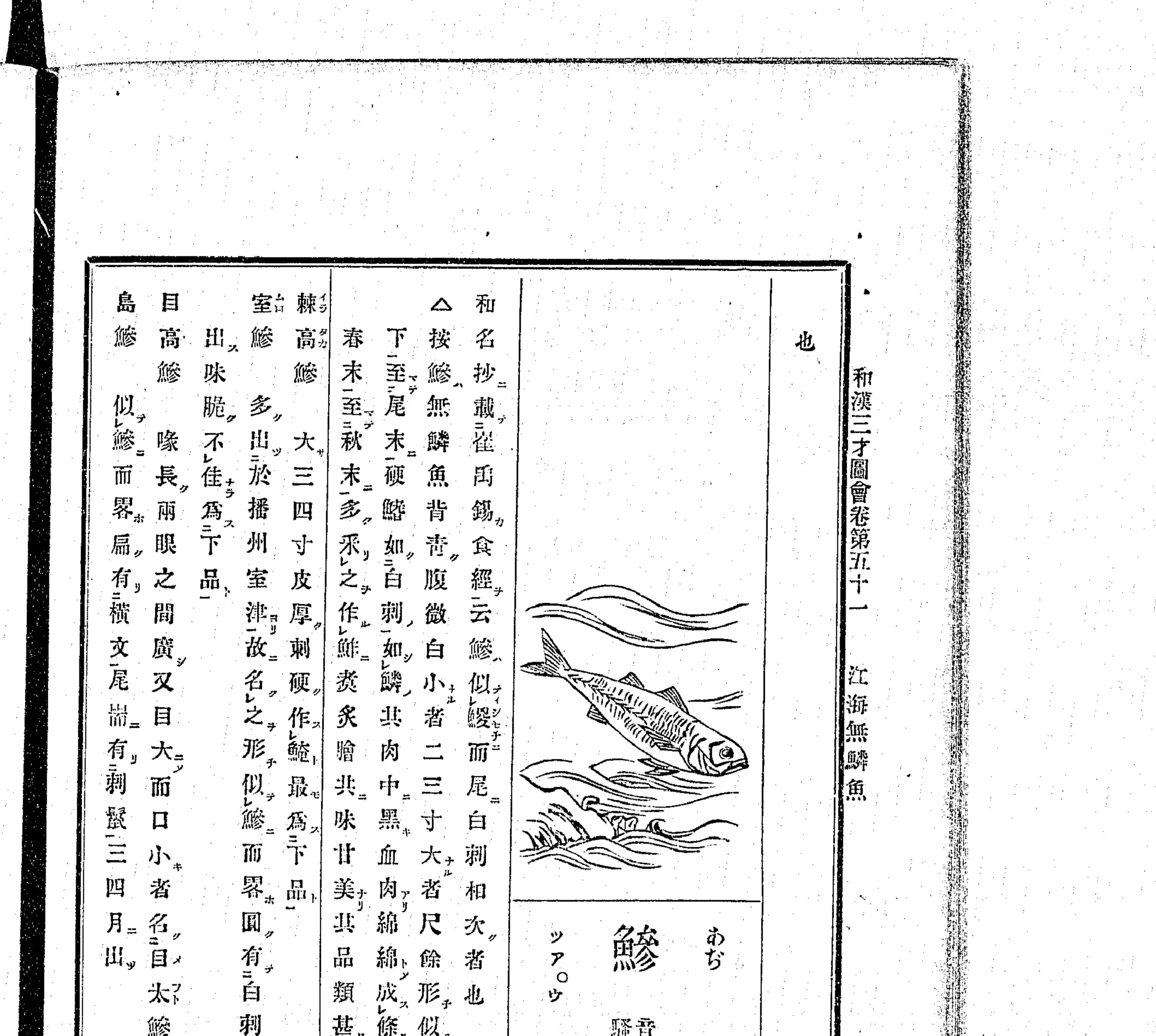『和漢三才図会』巻51 鰺の項 クローズアップ(PID 898161 コマ225 右ページ)