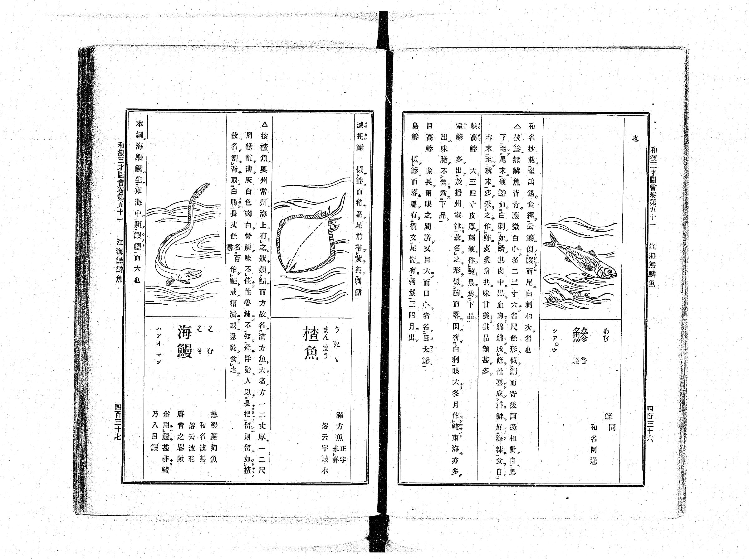 『和漢三才図会』巻51 江海無鱗魚 コマ225 見開き全体(PID 898161)