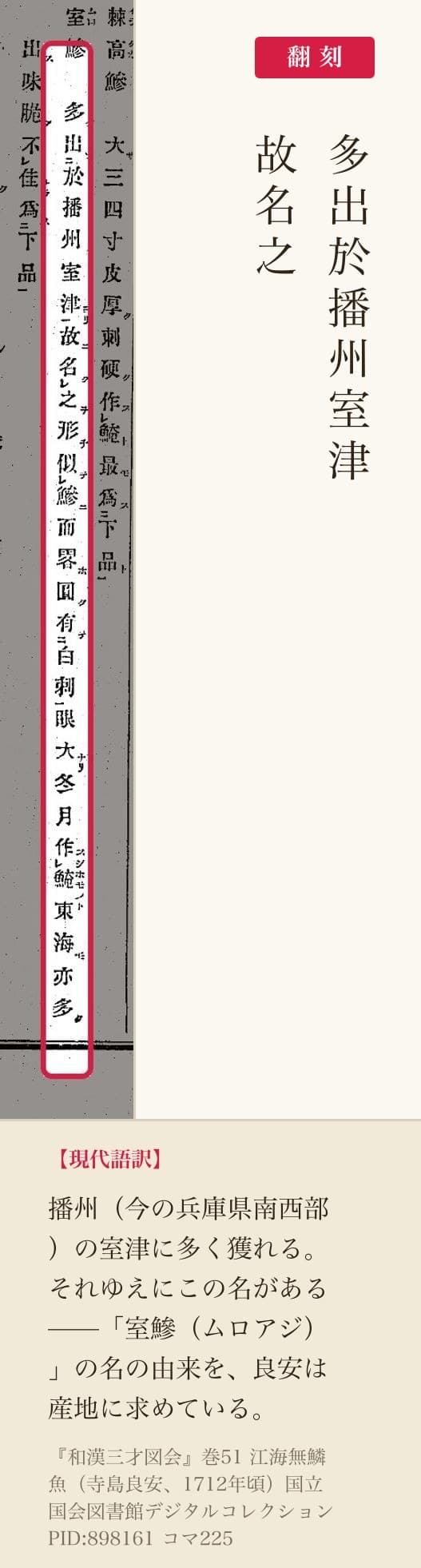 『和漢三才図会』室鰺の語源記述の赤枠注釈と翻刻(PID898161 コマ225)