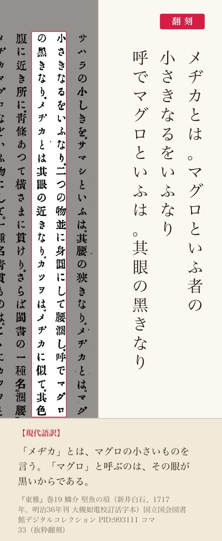 『東雅』コマ33 堅魚項 マグロ言及部 翻刻並記(赤枠=該当箇所)