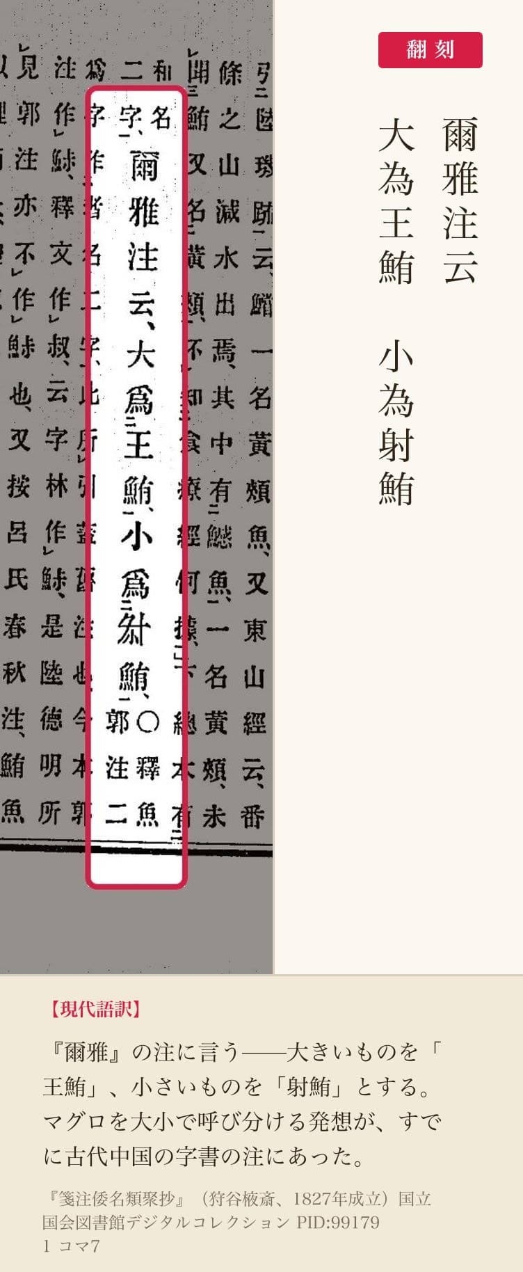 『箋注倭名類聚抄』王鮪・射鮪の記述の赤枠注釈と翻刻(PID991791 コマ7)