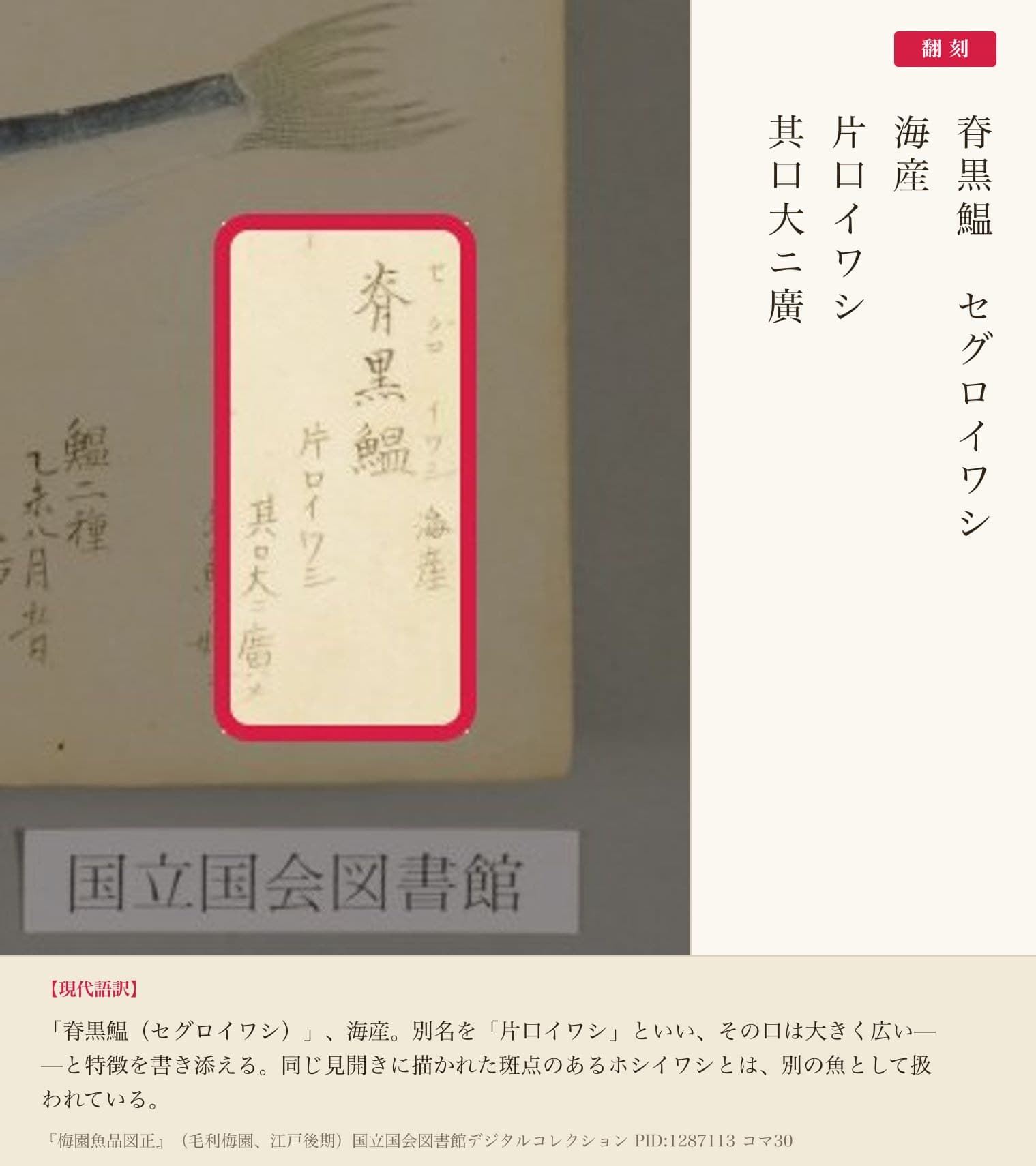 『梅園魚品図正』コマ30「脊黒鰛」の題字部と翻刻(NDL PID 1287113)