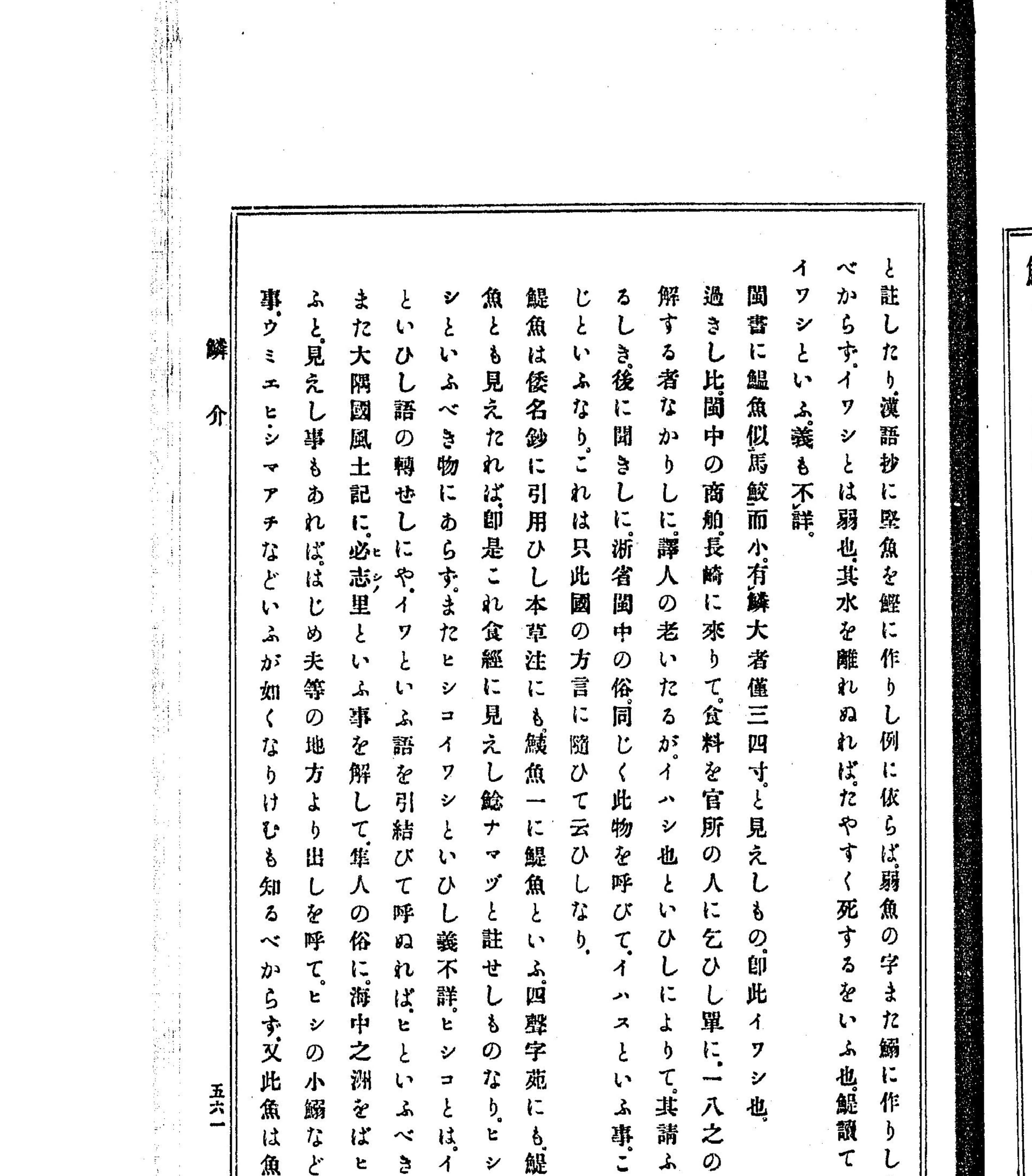 『東雅』巻19 鱗介部 鰯の項クローズアップ(PID 993111 コマ37 左ページ上段)