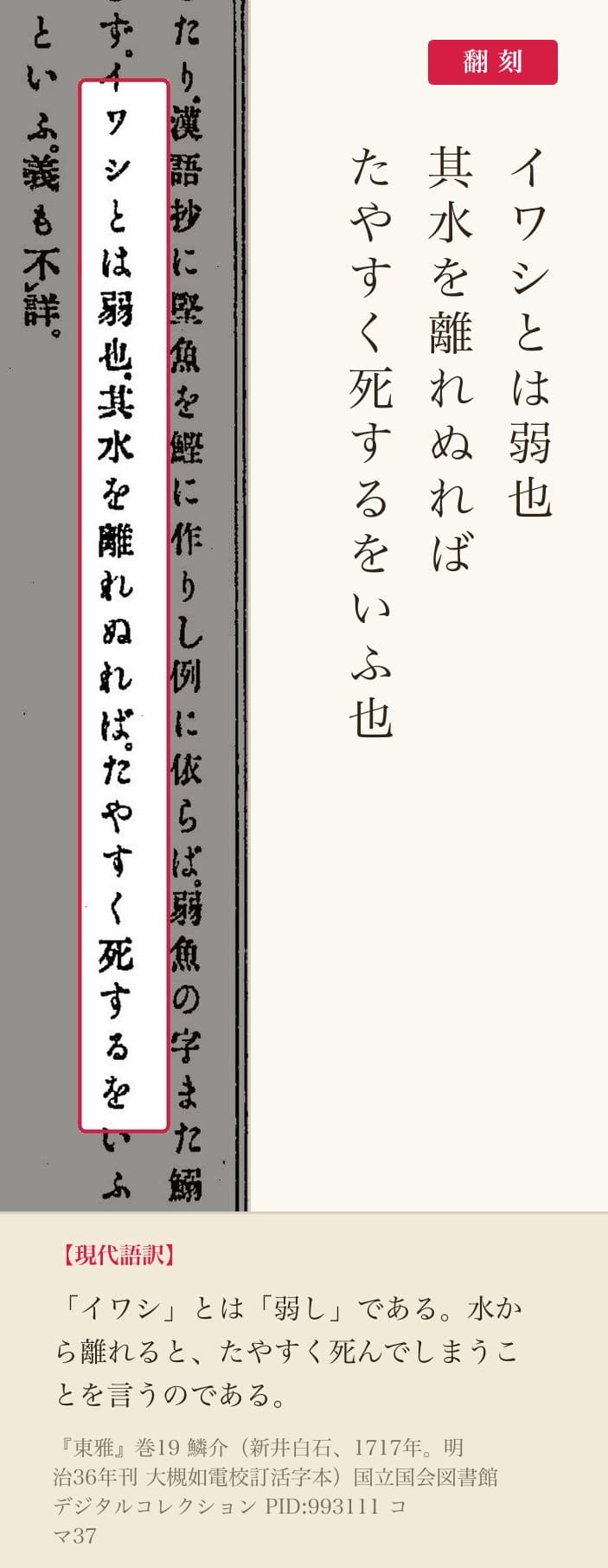 『東雅』コマ37 鰯の項 翻刻並記(赤枠=該当箇所)