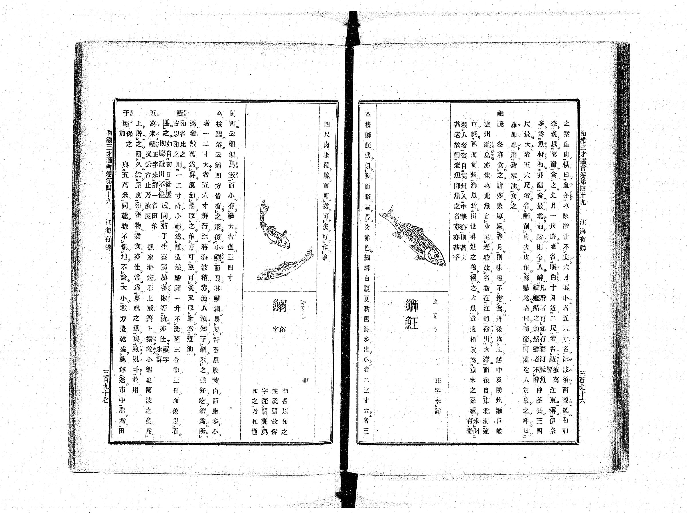 『和漢三才図会』巻49 江海有鱗魚 コマ205 見開き全体(PID 898161)