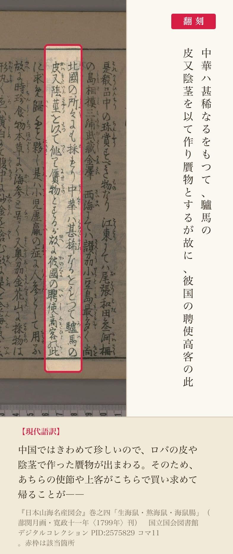 『日本山海名産図会』の記述と翻刻。「中華ハ甚稀なるをもつて、驢馬の皮又陰茎を以て作り贋物とするが故に」