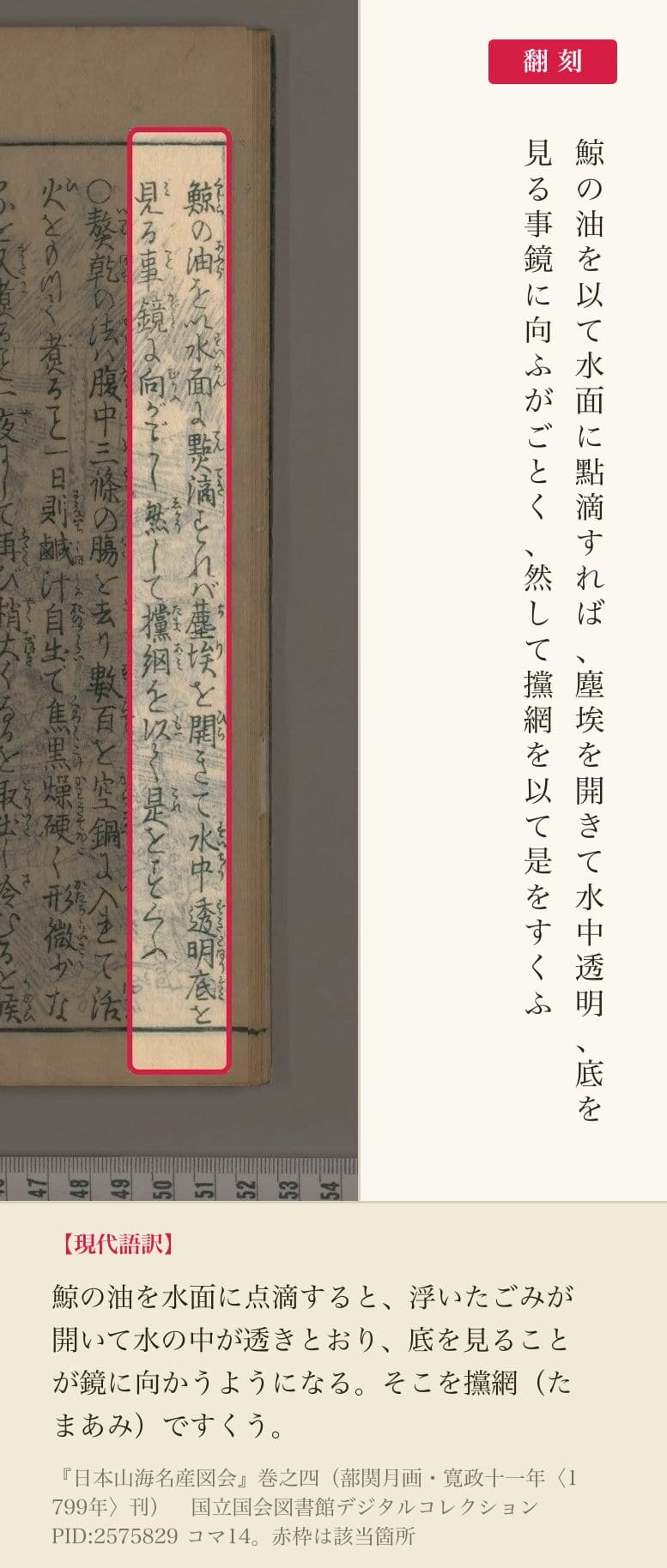 『日本山海名産図会』の漁法の記述と翻刻。「鯨の油を以て水面に點滴すれば、塵埃を開きて水中透明、底を見る事鏡に向ふがごとく」