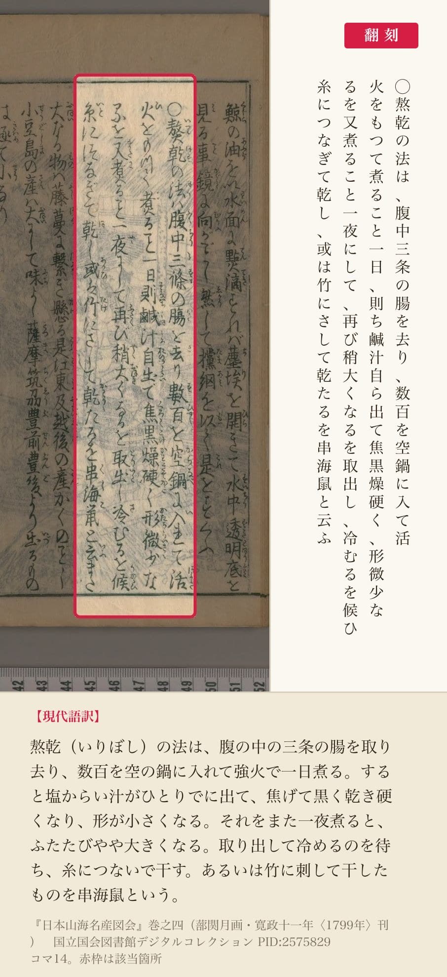 『日本山海名産図会』の熬乾の法、4列と翻刻。「腹中三条の腸を去り、数百を空鍋に入て活火をもつて煮ること一日」