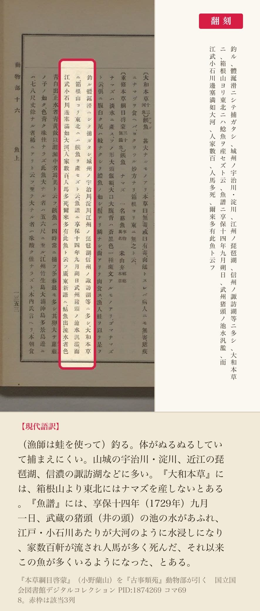 『本草綱目啓蒙』のナマズの項、産地と享保十四年の出水を記した3列と翻刻