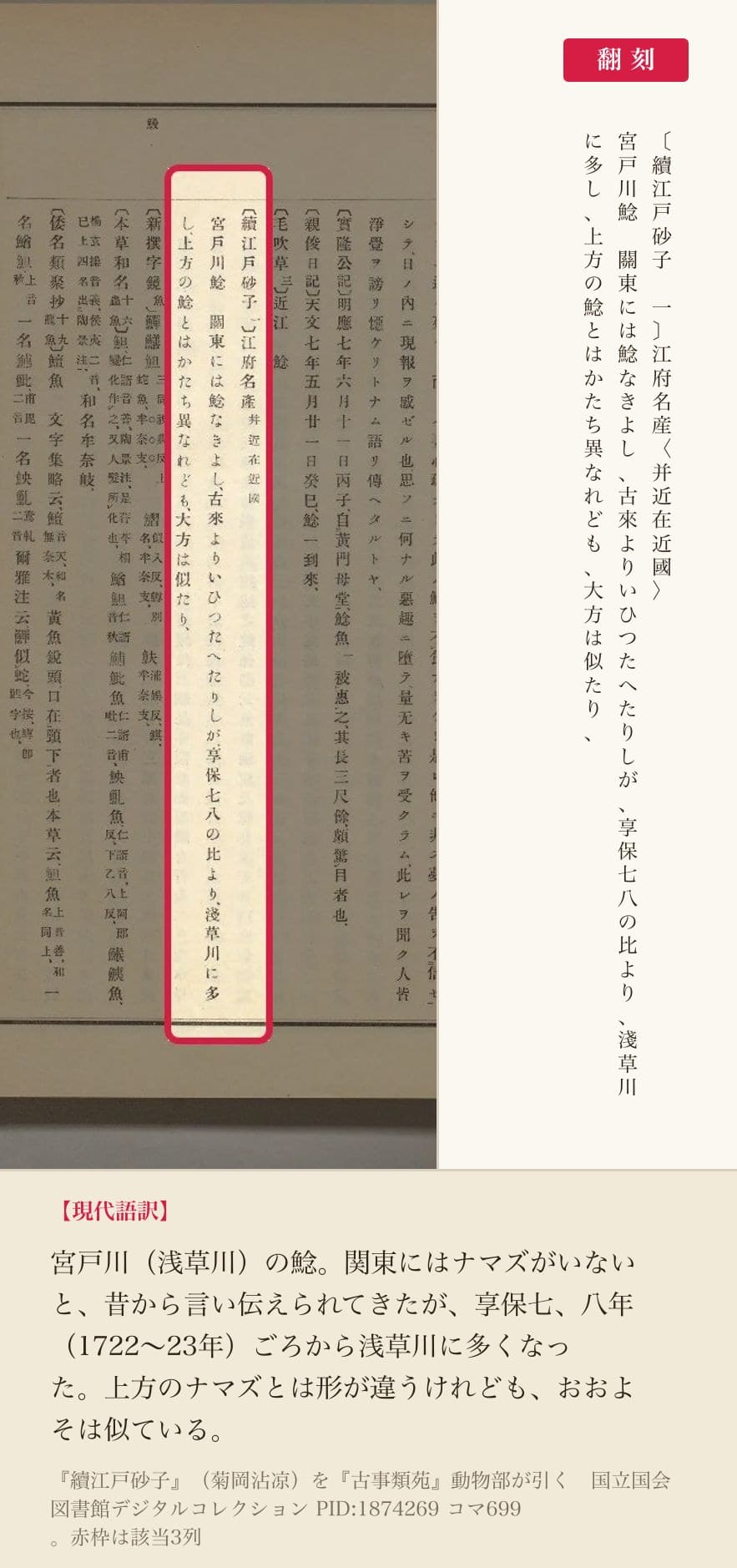 『続江戸砂子』の「宮戸川鯰」の項3列と翻刻。『古事類苑』動物部が引くかたち