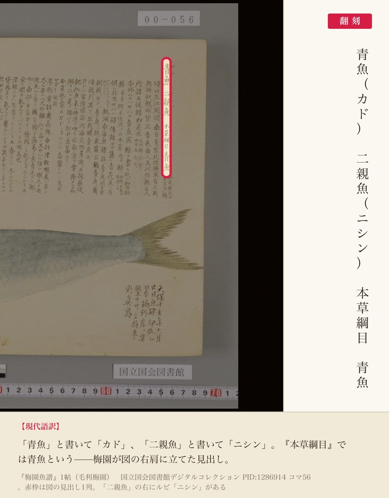 『梅園魚譜』のニシン図の見出しと翻刻