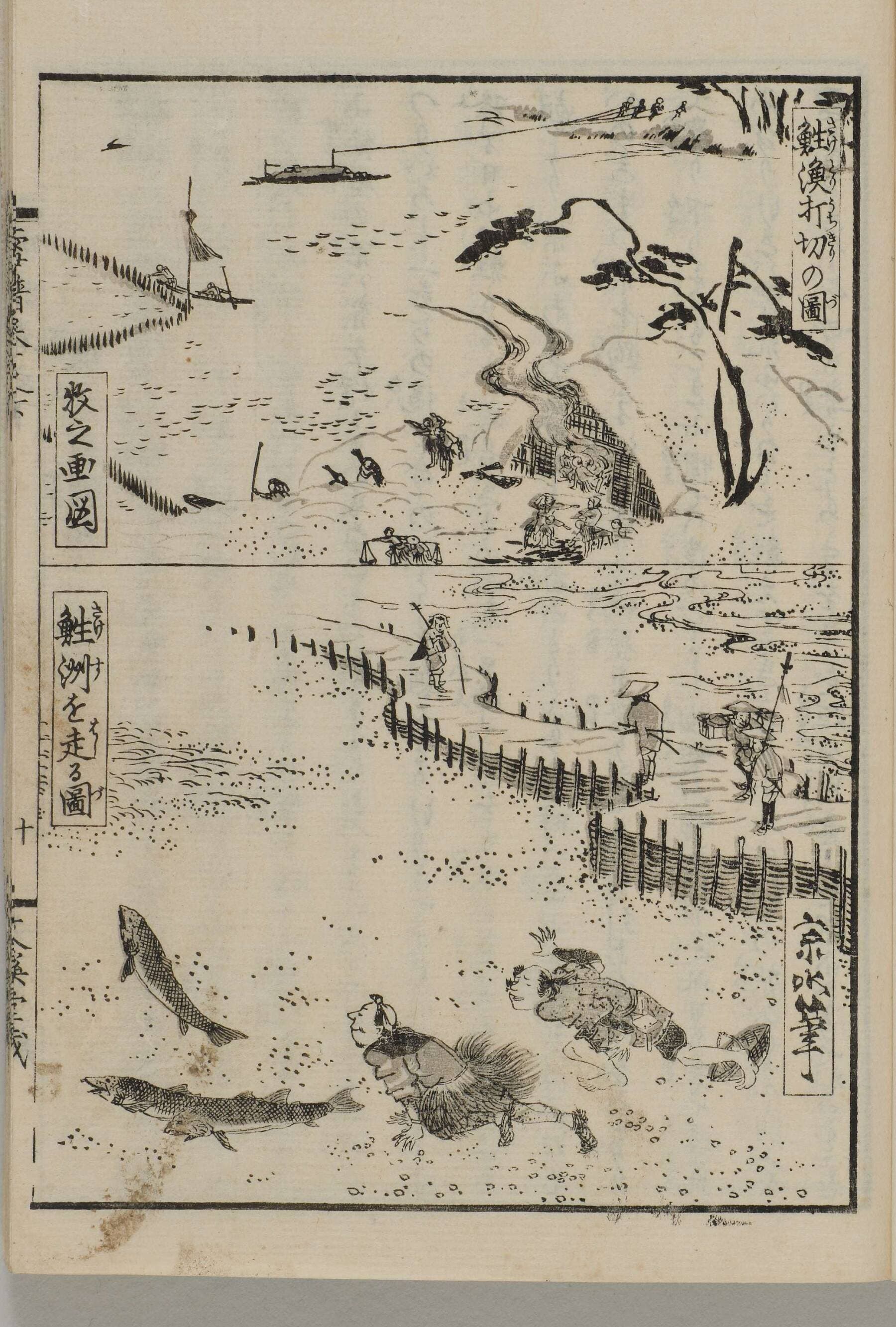 『北越雪譜』の鮭漁の図