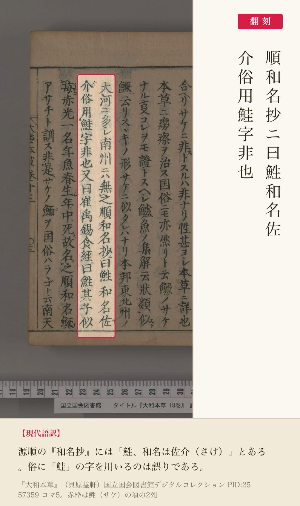 『大和本草』サケの項の赤枠注釈と翻刻