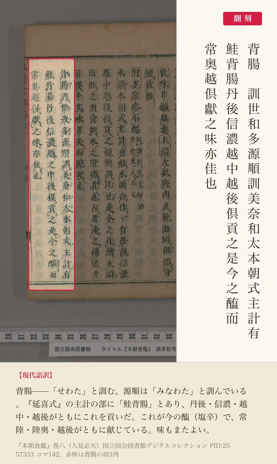 『本朝食鑑』巻八、背腸(せわた)の項と翻刻